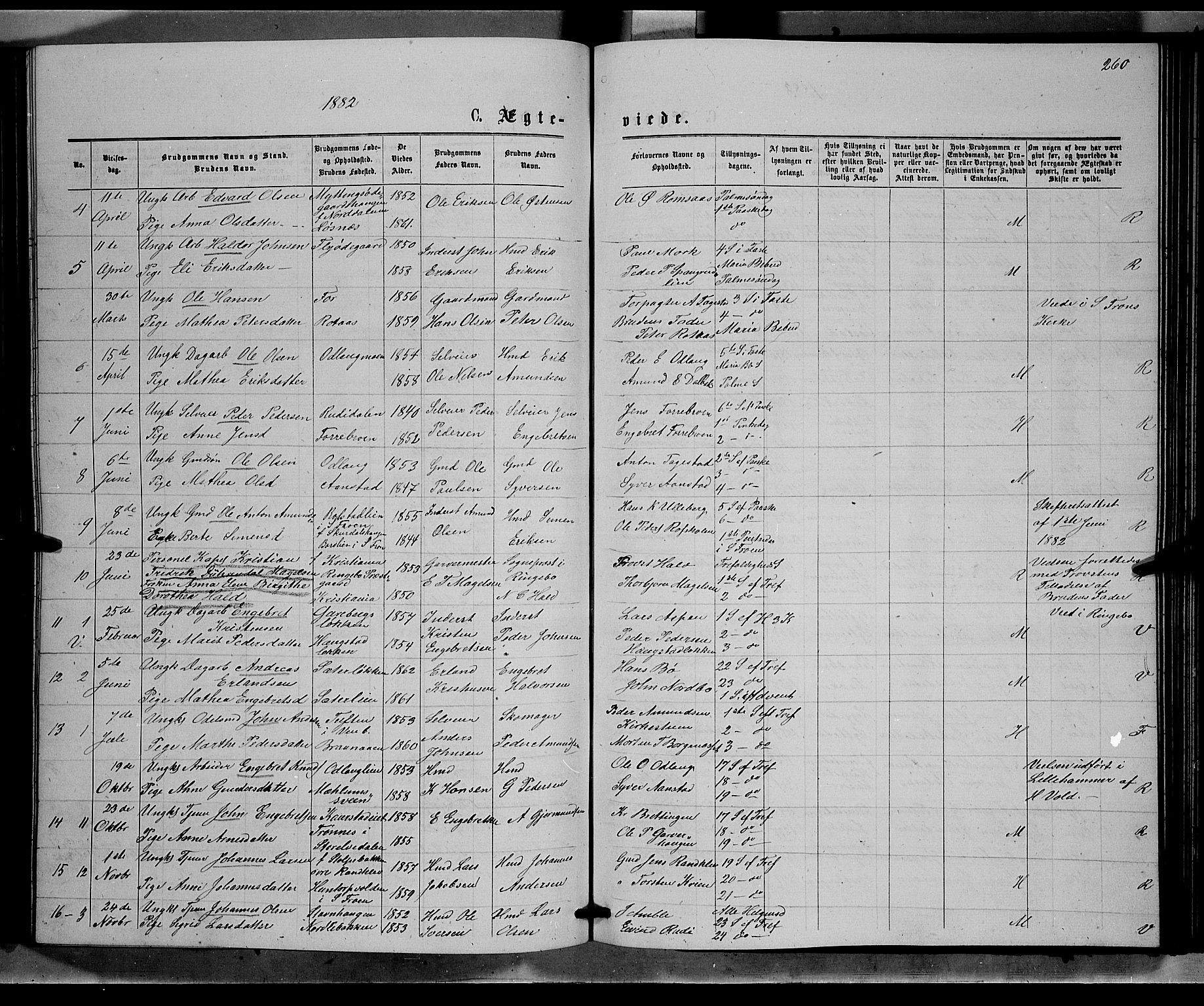 Ringebu prestekontor, SAH/PREST-082/H/Ha/Hab/L0006: Parish register (copy) no. 6, 1880-1898, p. 260