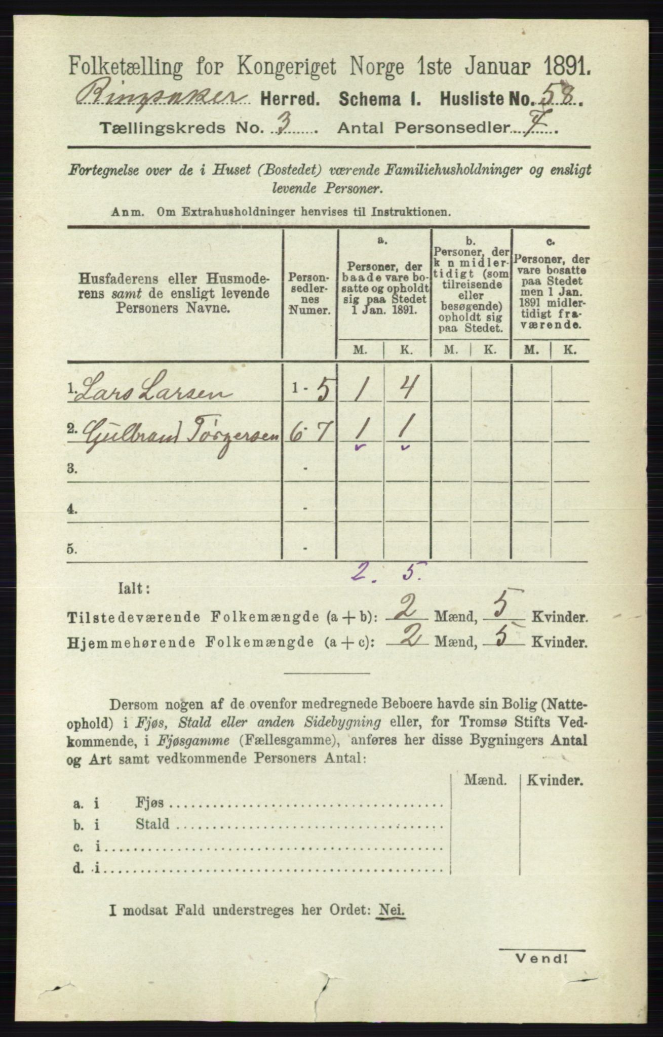 RA, 1891 census for 0412 Ringsaker, 1891, p. 1219