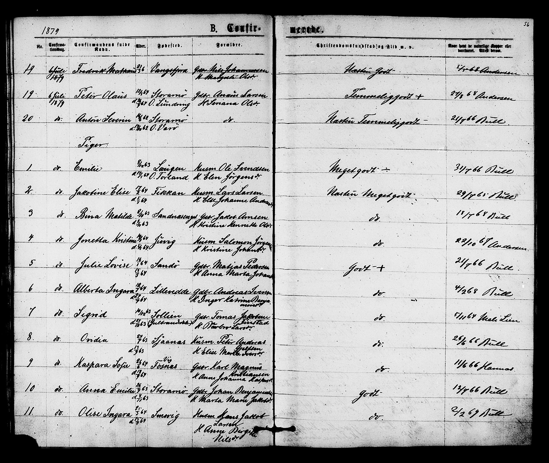 Ministerialprotokoller, klokkerbøker og fødselsregistre - Nord-Trøndelag, AV/SAT-A-1458/784/L0671: Parish register (official) no. 784A06, 1876-1879, p. 56