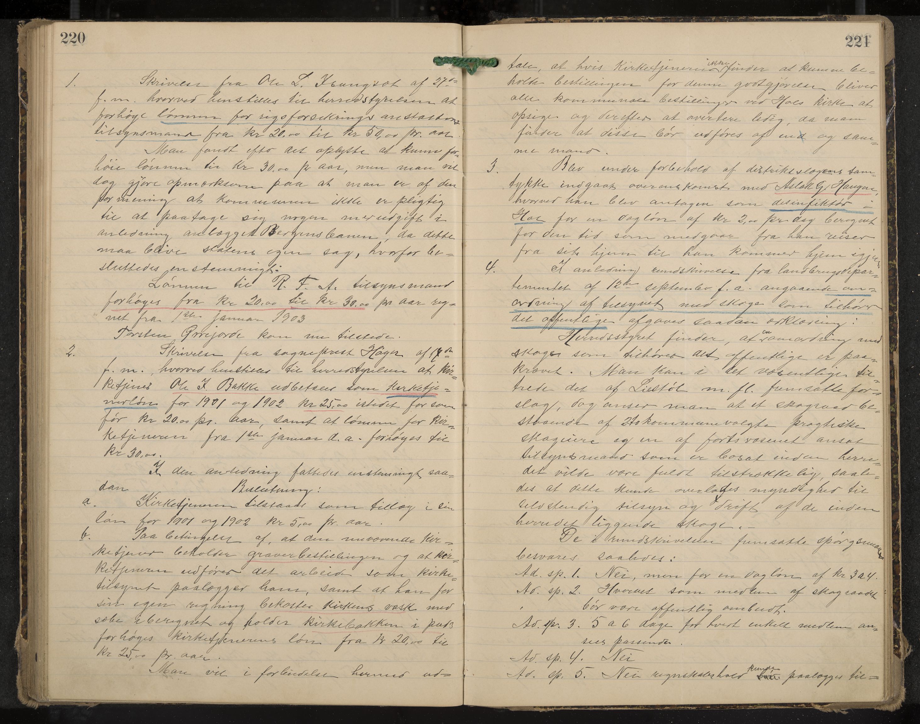 Hol formannskap og sentraladministrasjon, IKAK/0620021-1/A/L0003: Møtebok, 1897-1904, p. 220-221