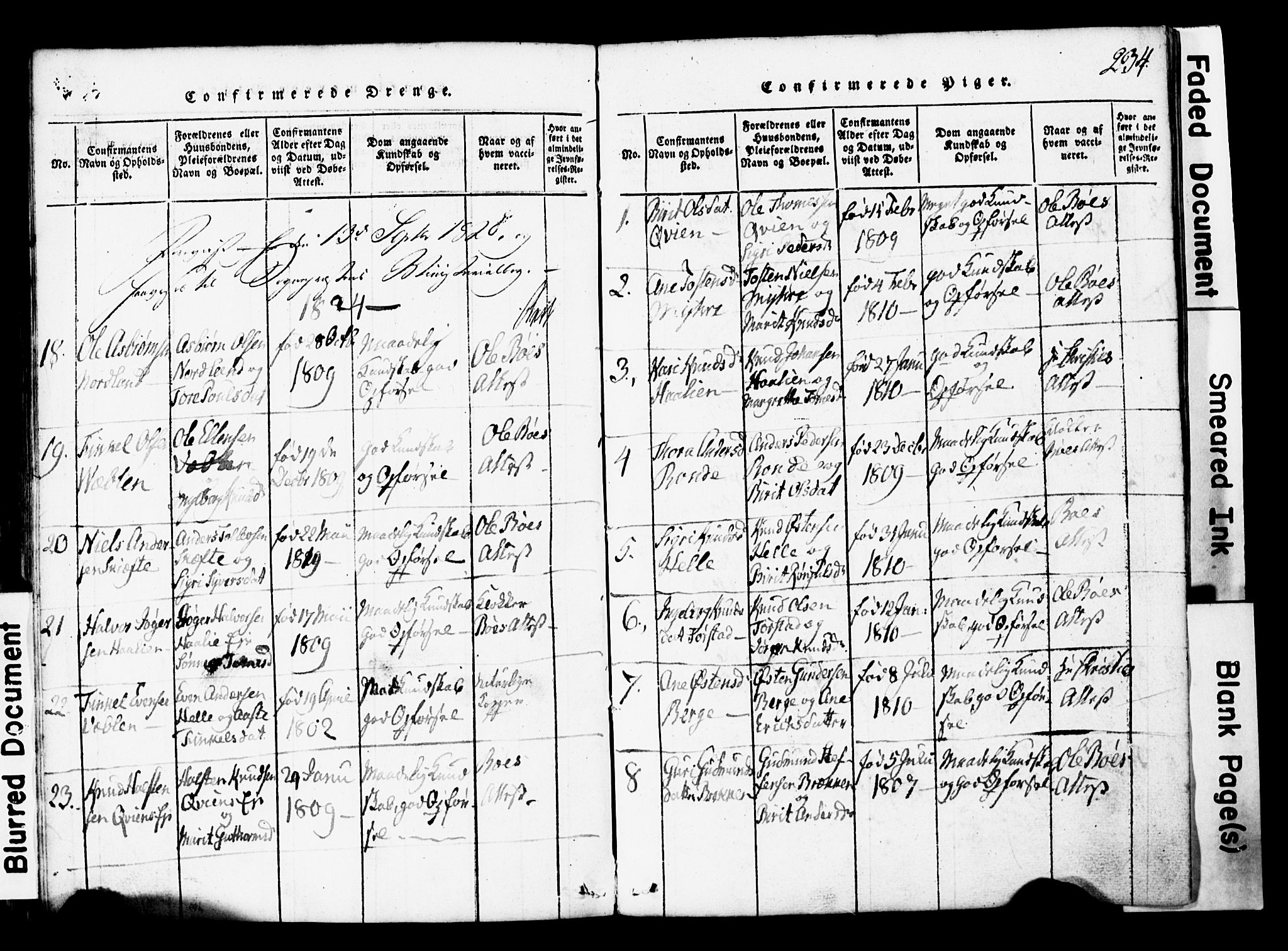Vang prestekontor, Valdres, SAH/PREST-140/H/Hb/L0001: Parish register (copy) no. 1, 1814-1820, p. 234