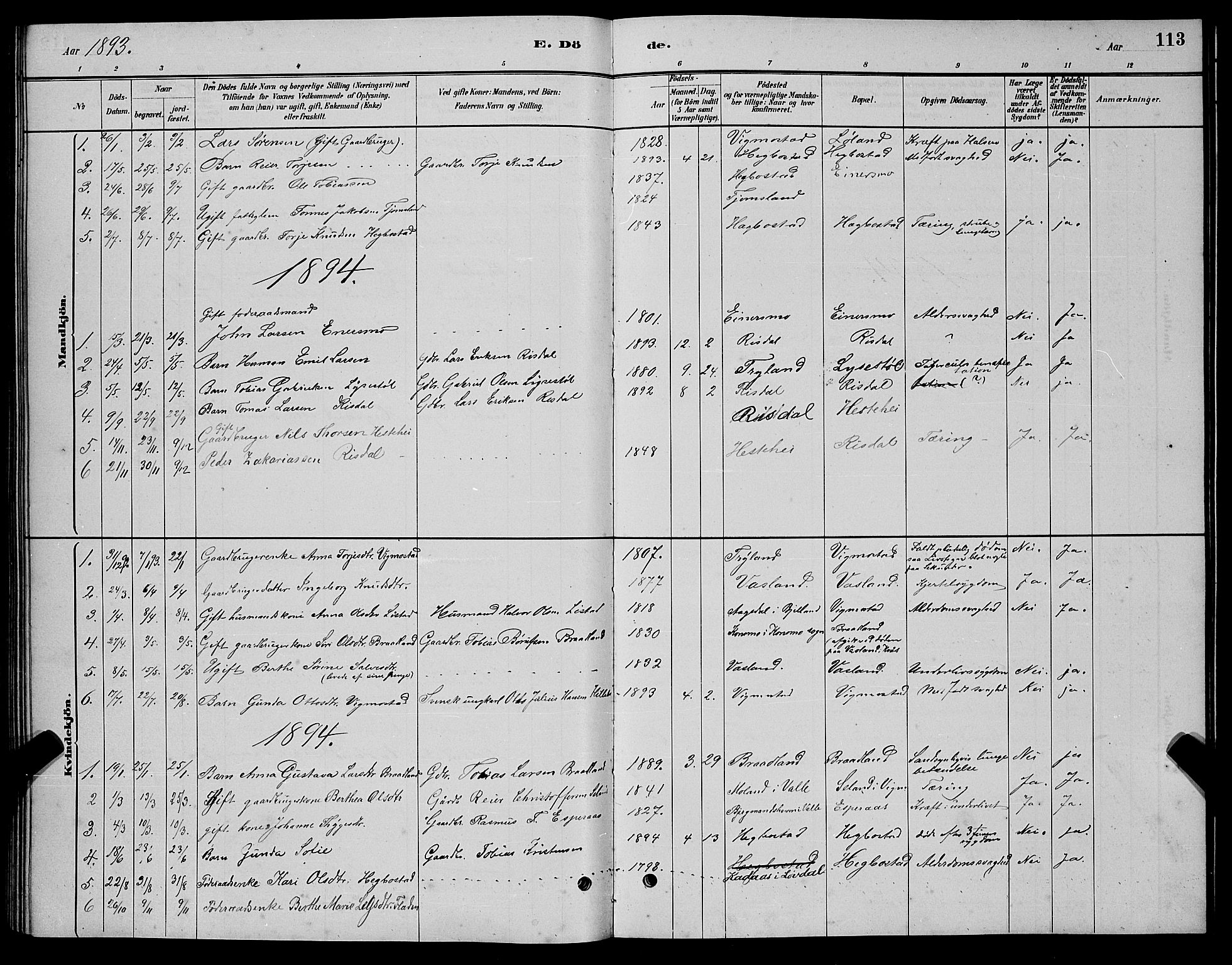 Nord-Audnedal sokneprestkontor, AV/SAK-1111-0032/F/Fb/Fbb/L0003: Parish register (copy) no. B 3, 1882-1900, p. 113