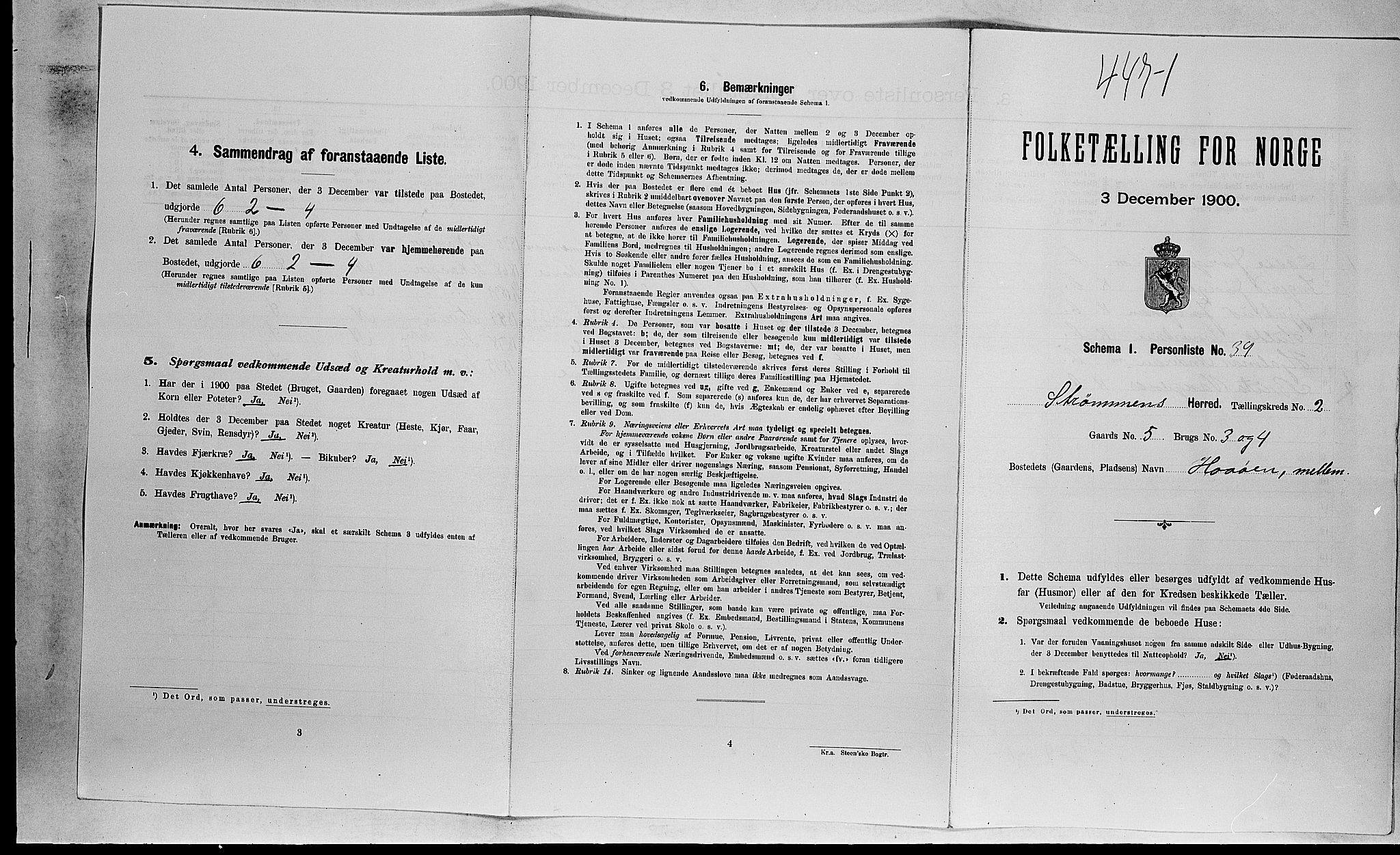 RA, 1900 census for Strømm, 1900, p. 215