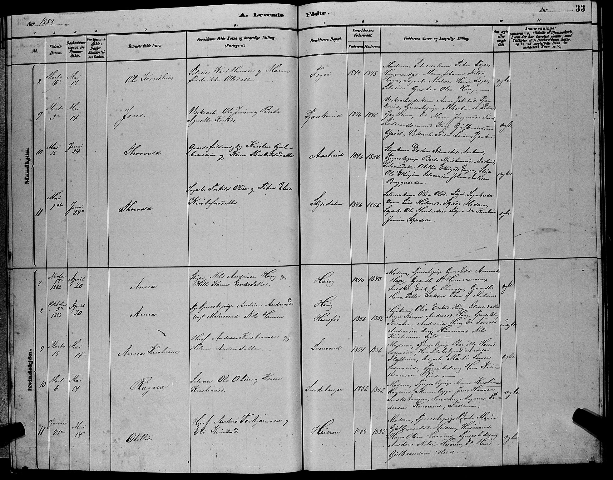 Hole kirkebøker, AV/SAKO-A-228/G/Gb/L0002: Parish register (copy) no. II 2, 1878-1889, p. 33