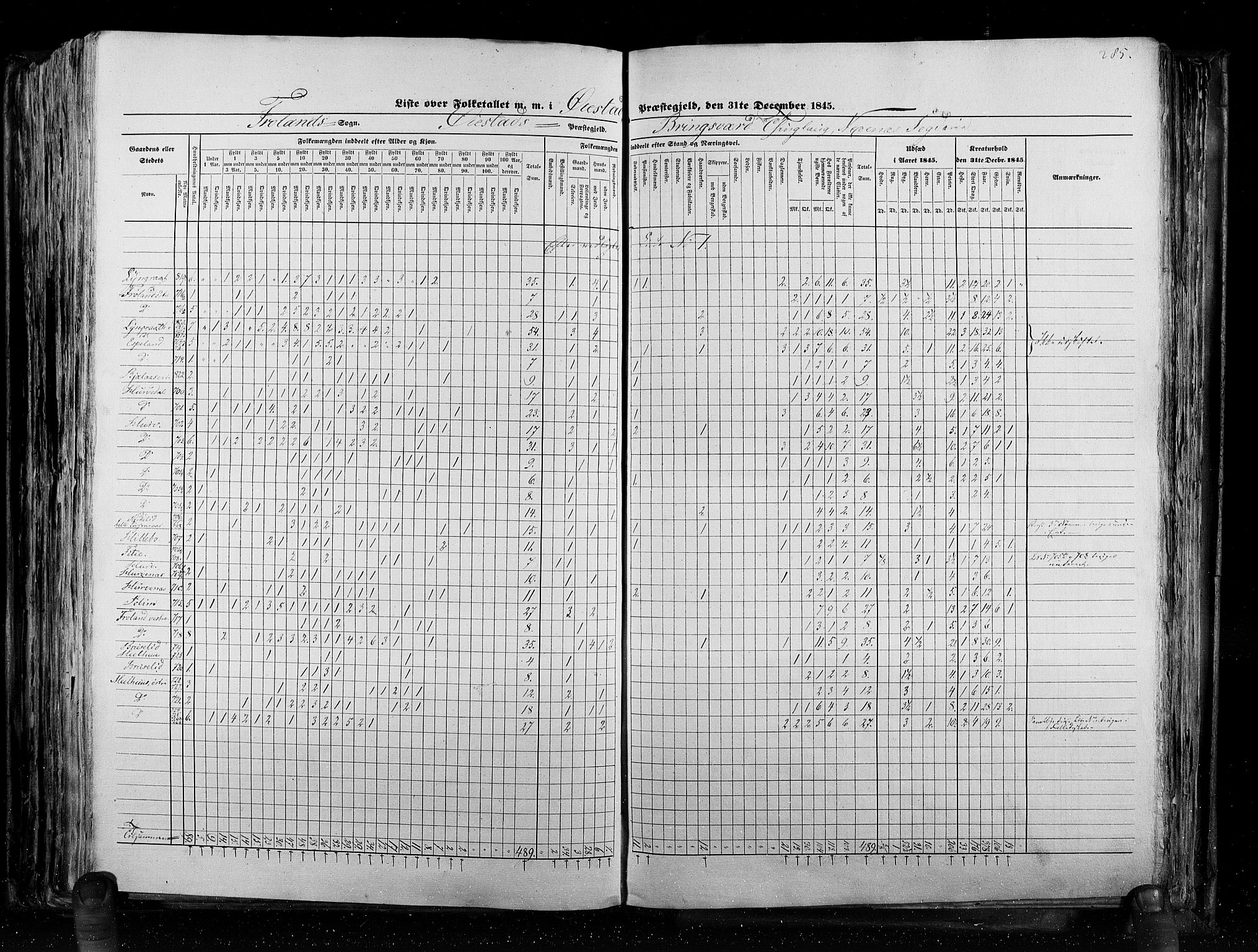 RA, Census 1845, vol. 5: Bratsberg amt og Nedenes og Råbyggelaget amt, 1845, p. 285