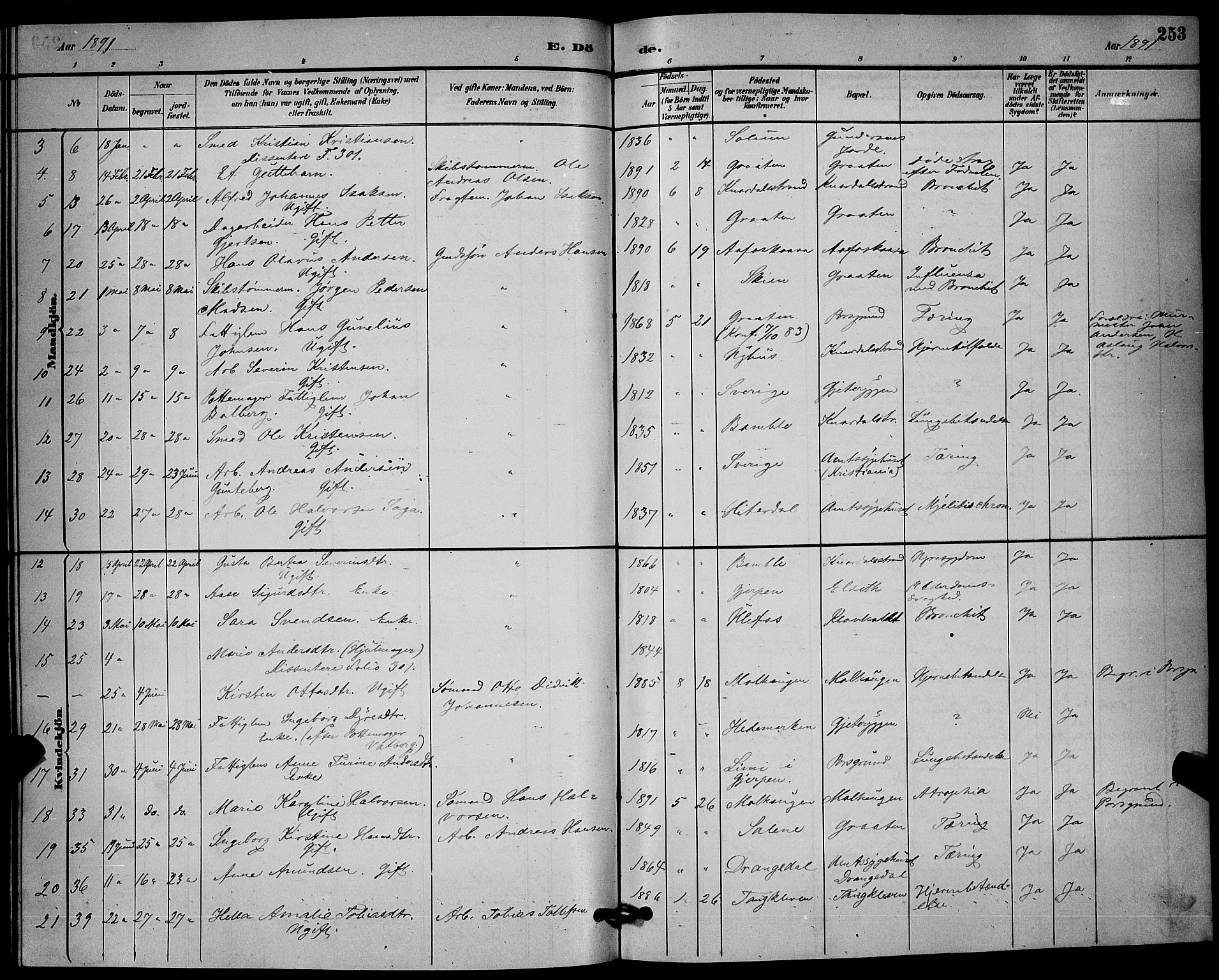 Solum kirkebøker, SAKO/A-306/G/Ga/L0007: Parish register (copy) no. I 7, 1884-1898, p. 253