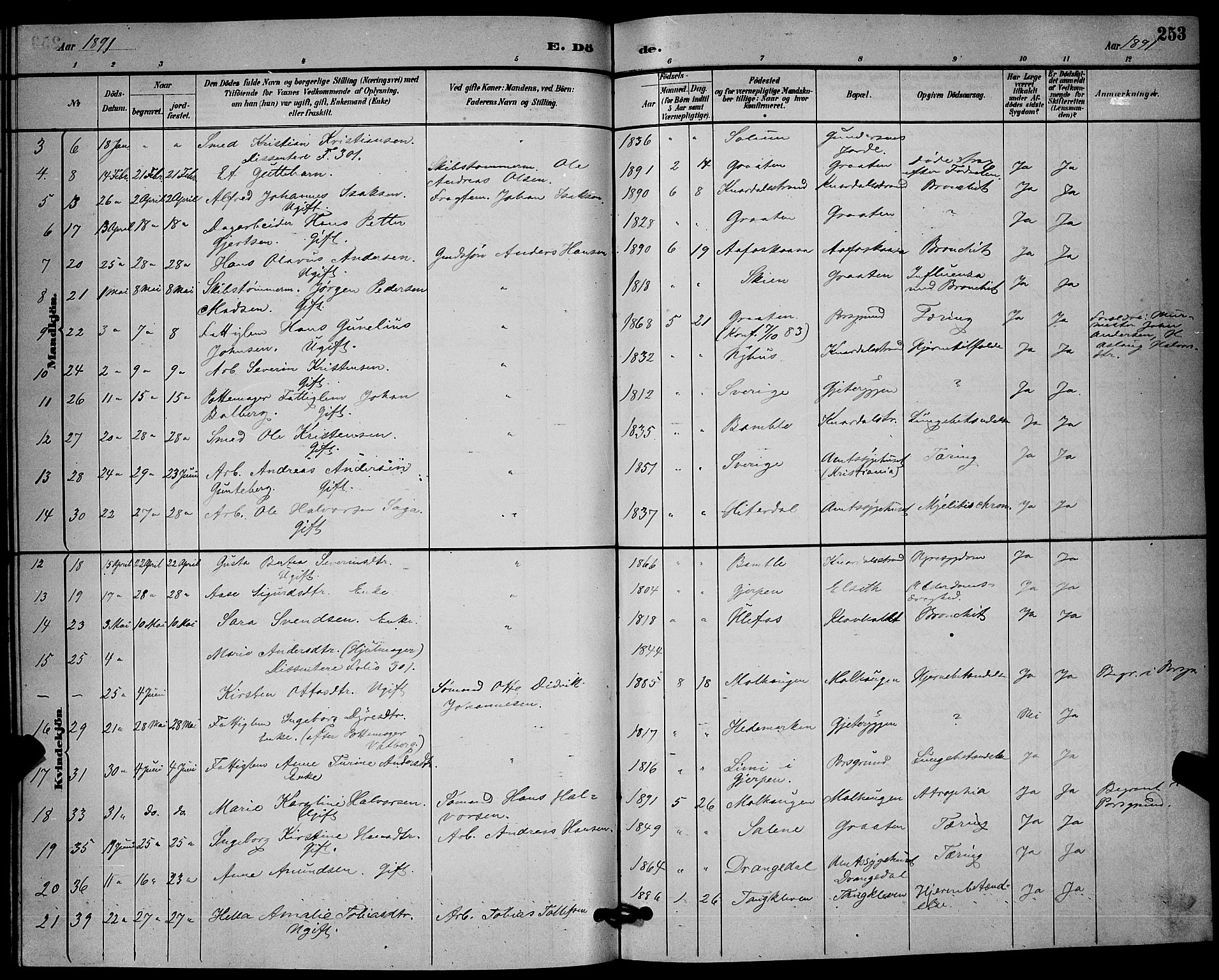 Solum kirkebøker, AV/SAKO-A-306/G/Ga/L0007: Parish register (copy) no. I 7, 1884-1898, p. 253