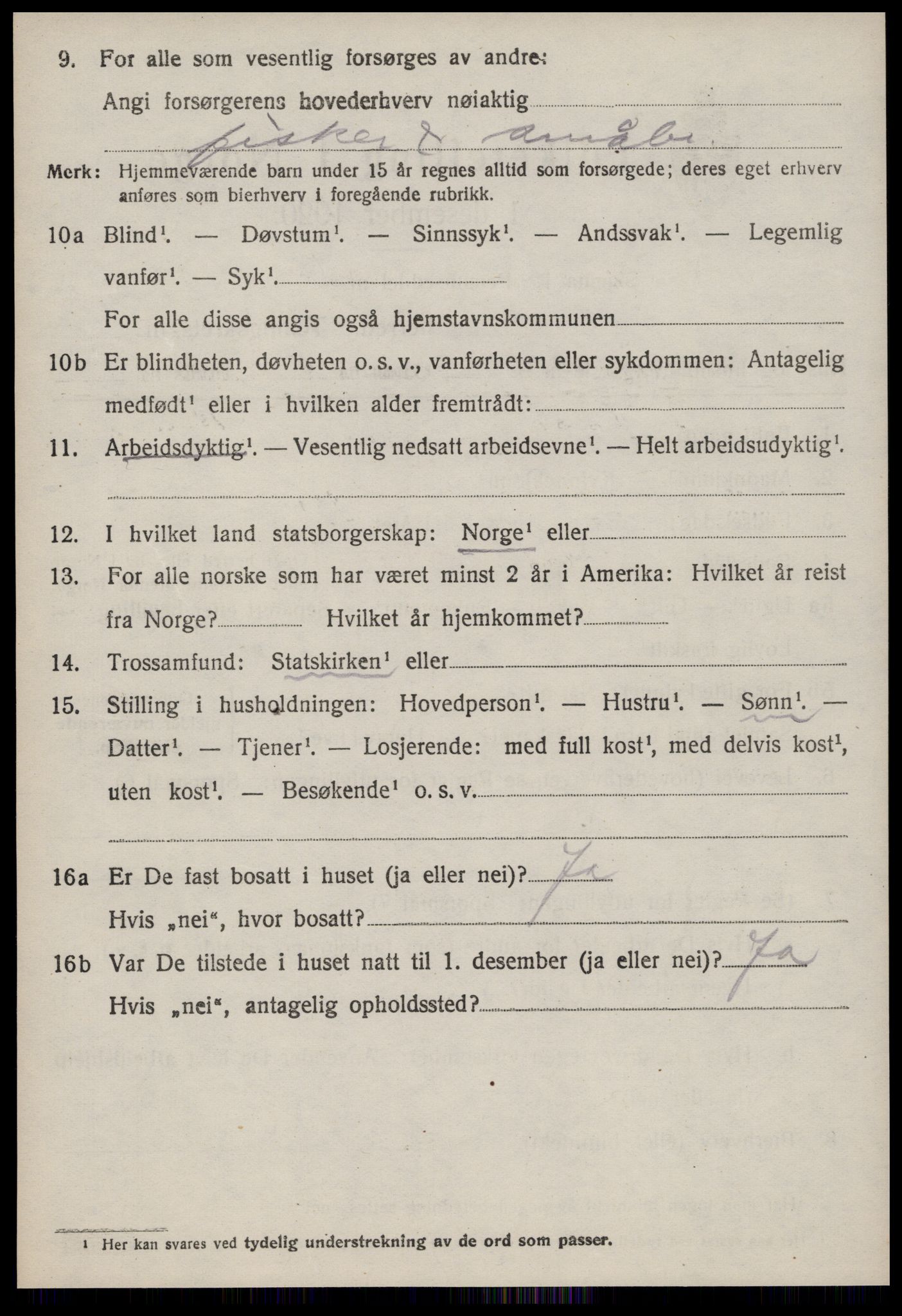 SAT, 1920 census for Hustad, 1920, p. 3246