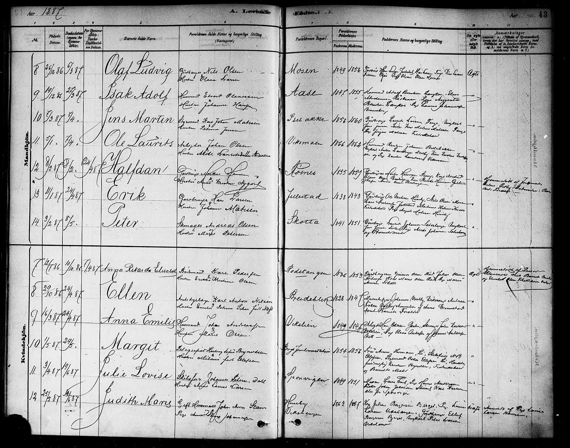 Berg prestekontor Kirkebøker, AV/SAO-A-10902/F/Fa/L0006: Parish register (official) no. I 6, 1878-1887, p. 43