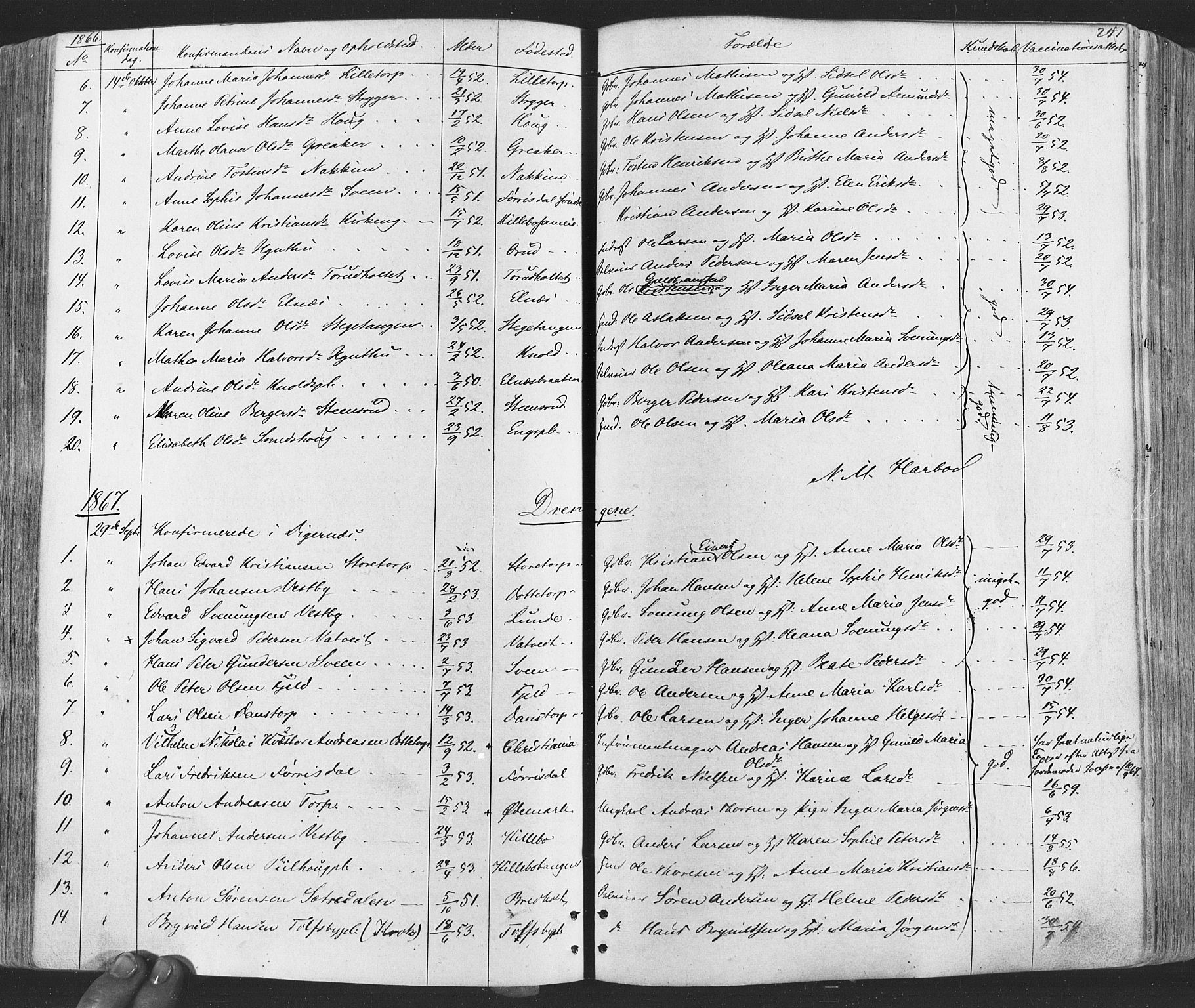 Rakkestad prestekontor Kirkebøker, SAO/A-2008/F/Fa/L0011: Parish register (official) no. I 11, 1862-1877, p. 241