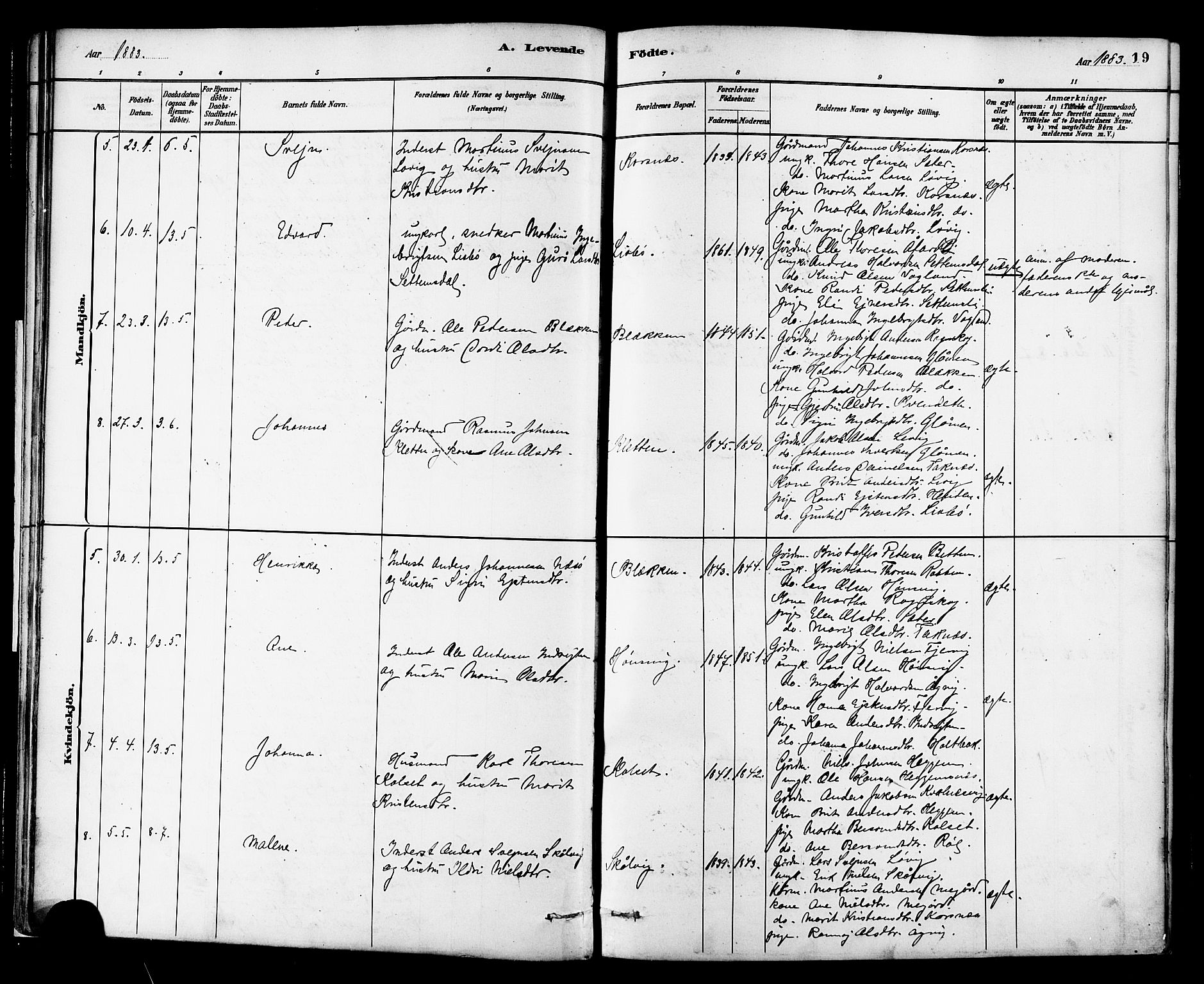 Ministerialprotokoller, klokkerbøker og fødselsregistre - Møre og Romsdal, SAT/A-1454/576/L0885: Parish register (official) no. 576A03, 1880-1898, p. 19