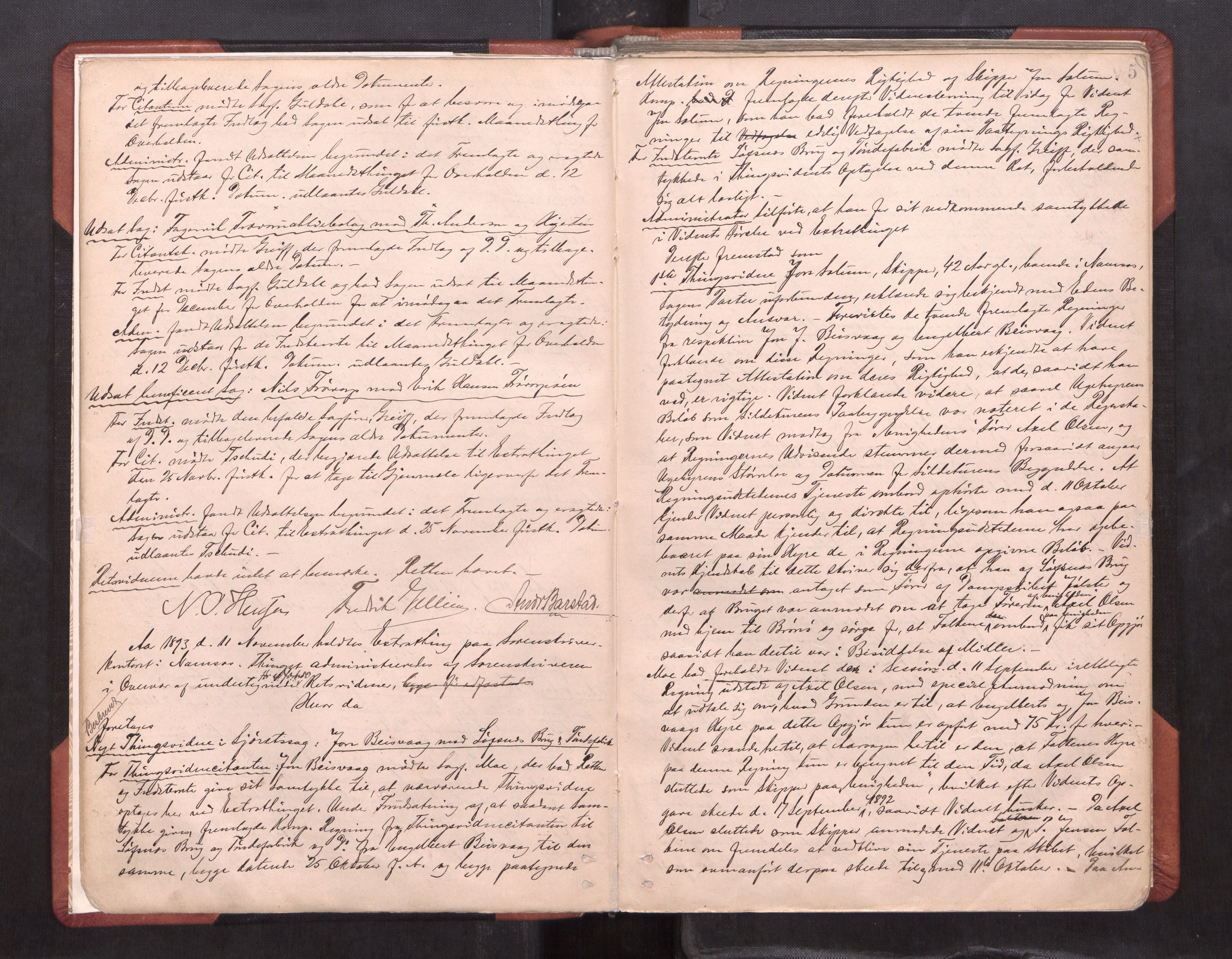 Namdal sorenskriveri, AV/SAT-A-4133/1/1/1B/L0019: Ekstrarettsprotokoll Nr 17, 1893-1907, p. 4b-5a
