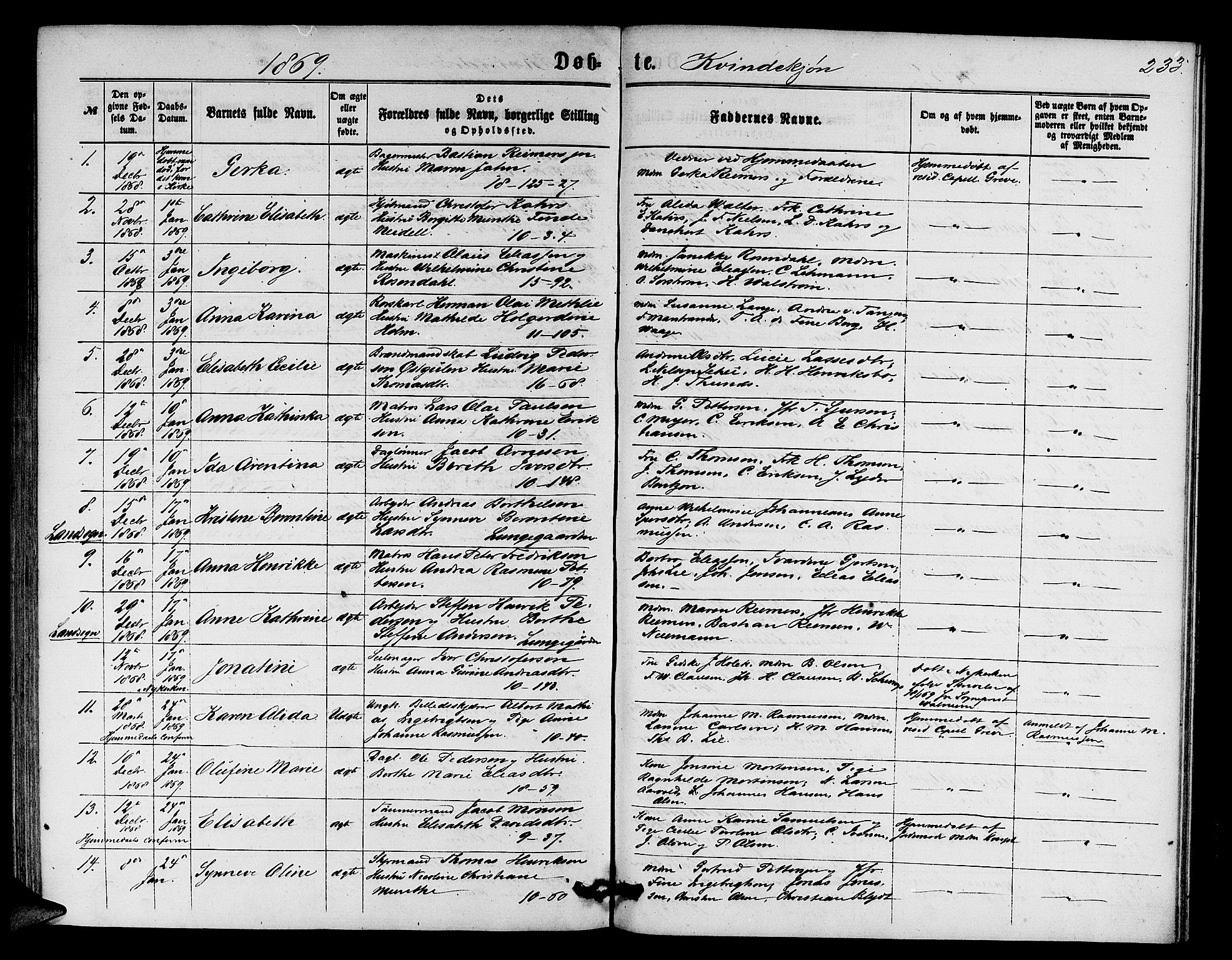 Domkirken sokneprestembete, SAB/A-74801/H/Hab/L0012: Parish register (copy) no. B 5, 1862-1869, p. 233