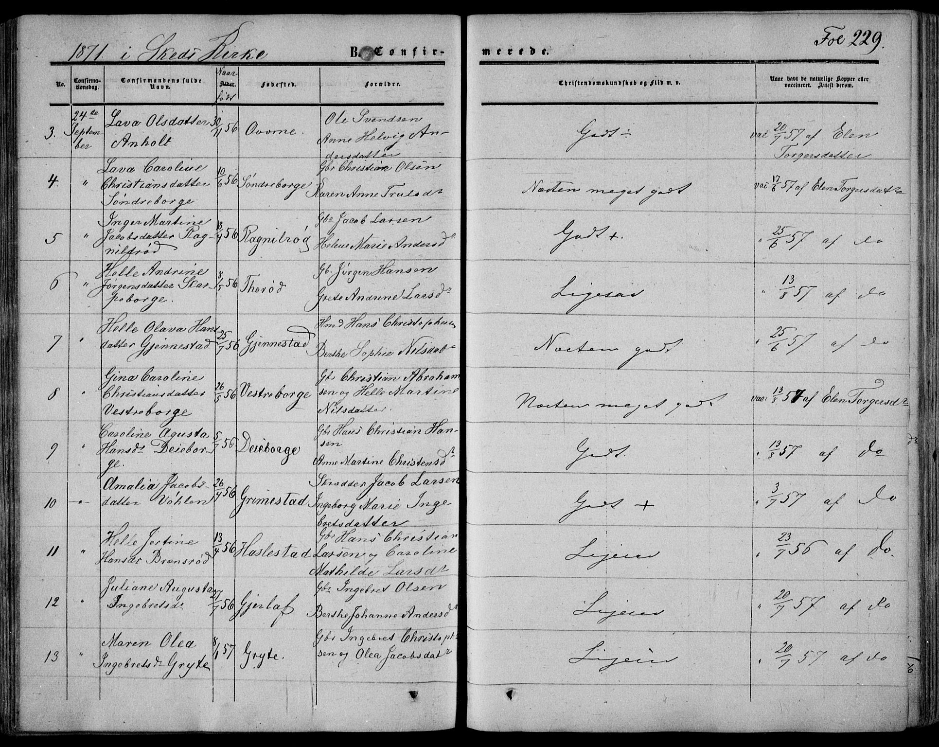 Stokke kirkebøker, SAKO/A-320/F/Fa/L0008: Parish register (official) no. I 8, 1858-1871, p. 229