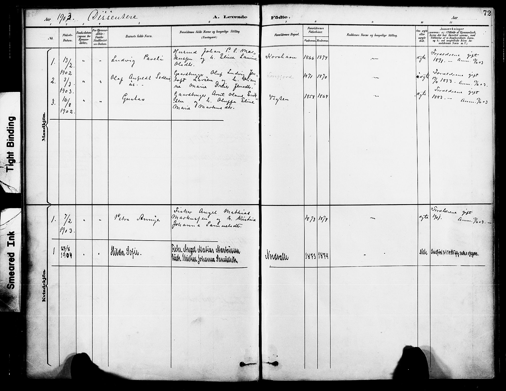 Ministerialprotokoller, klokkerbøker og fødselsregistre - Nordland, SAT/A-1459/885/L1205: Parish register (official) no. 885A06, 1892-1905, p. 72