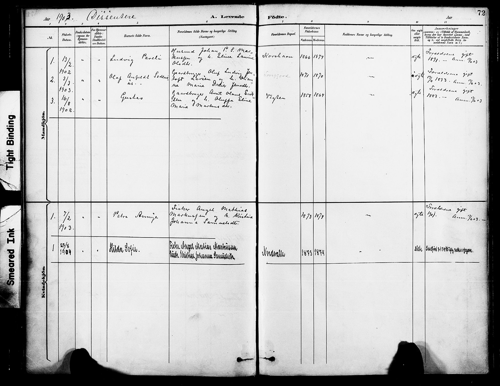 Ministerialprotokoller, klokkerbøker og fødselsregistre - Nordland, AV/SAT-A-1459/885/L1205: Parish register (official) no. 885A06, 1892-1905, p. 72