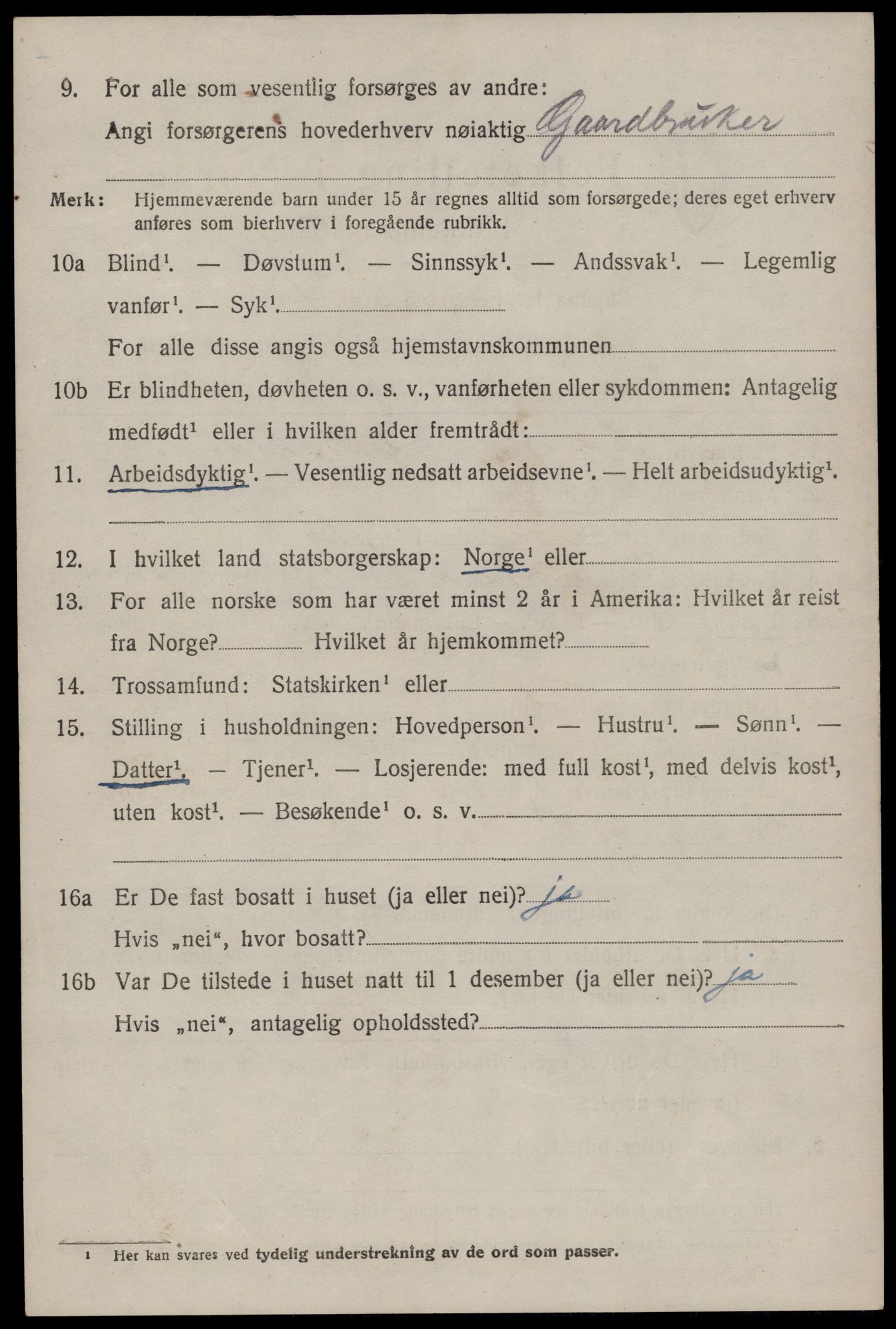 SAKO, 1920 census for Nissedal, 1920, p. 3914