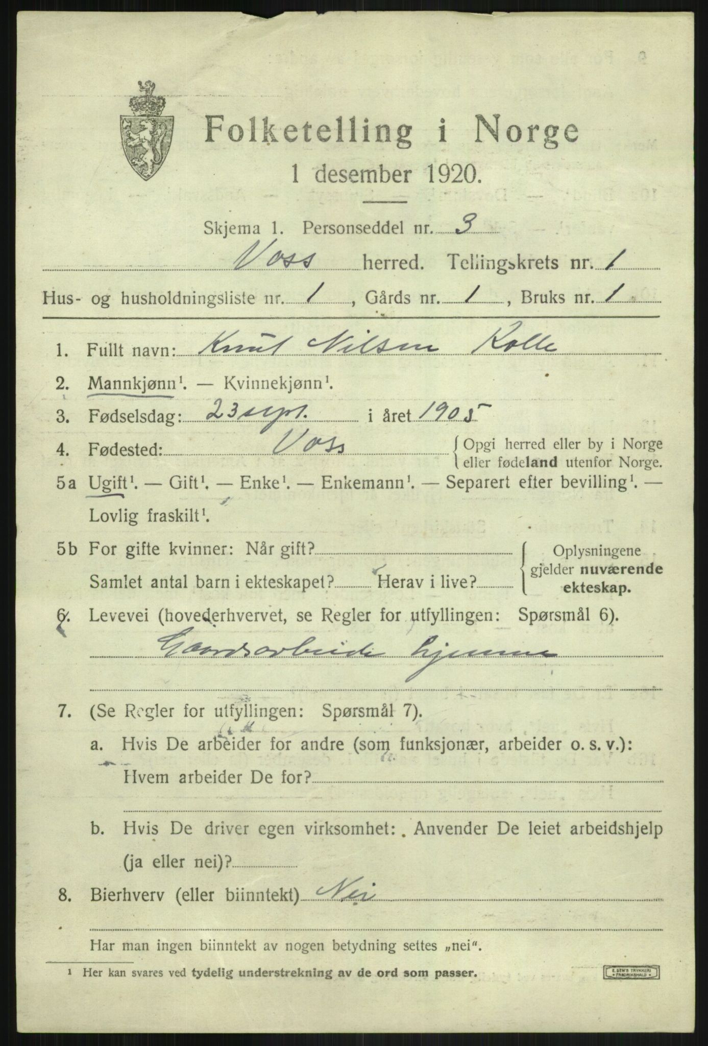 SAB, 1920 census for Voss, 1920, p. 2813