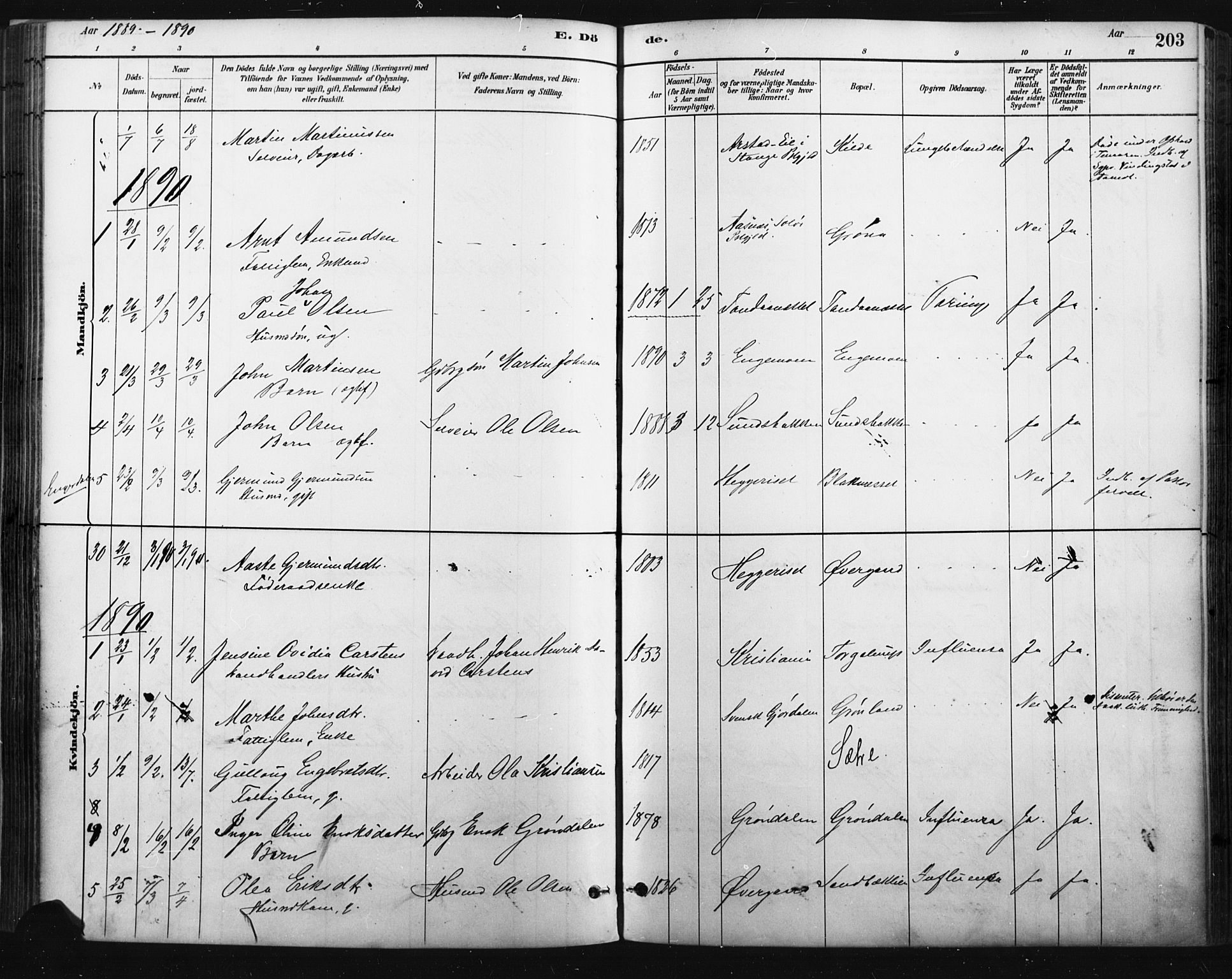 Trysil prestekontor, SAH/PREST-046/H/Ha/Haa/L0009: Parish register (official) no. 9, 1881-1897, p. 203