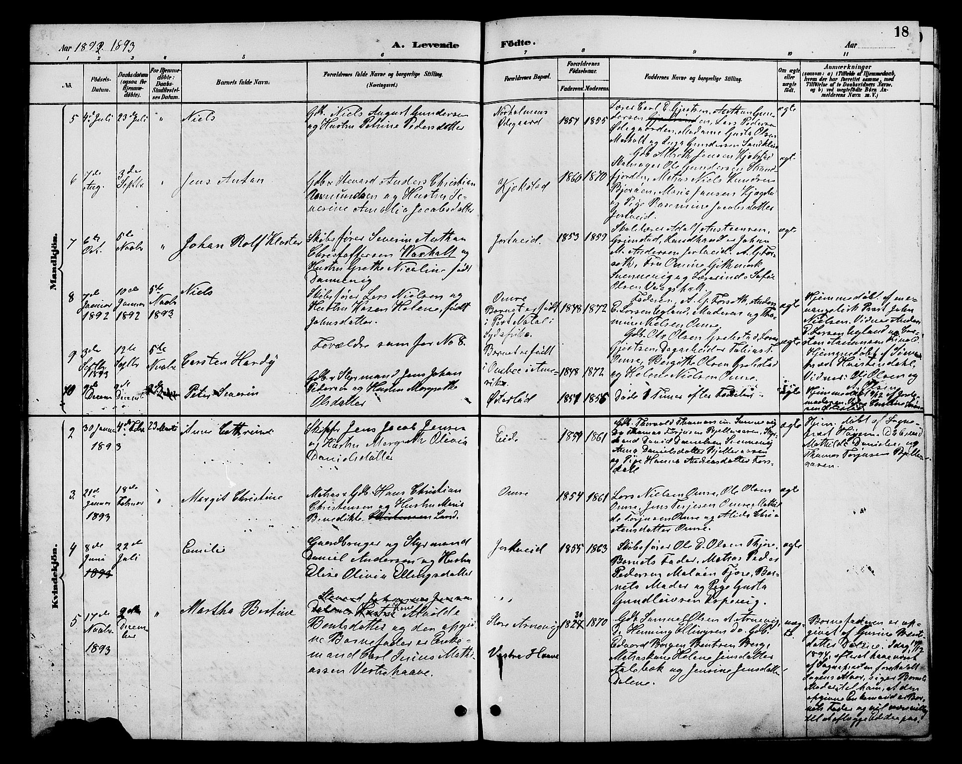 Hommedal sokneprestkontor, AV/SAK-1111-0023/F/Fb/Fba/L0004: Parish register (copy) no. B 4, 1885-1908, p. 18