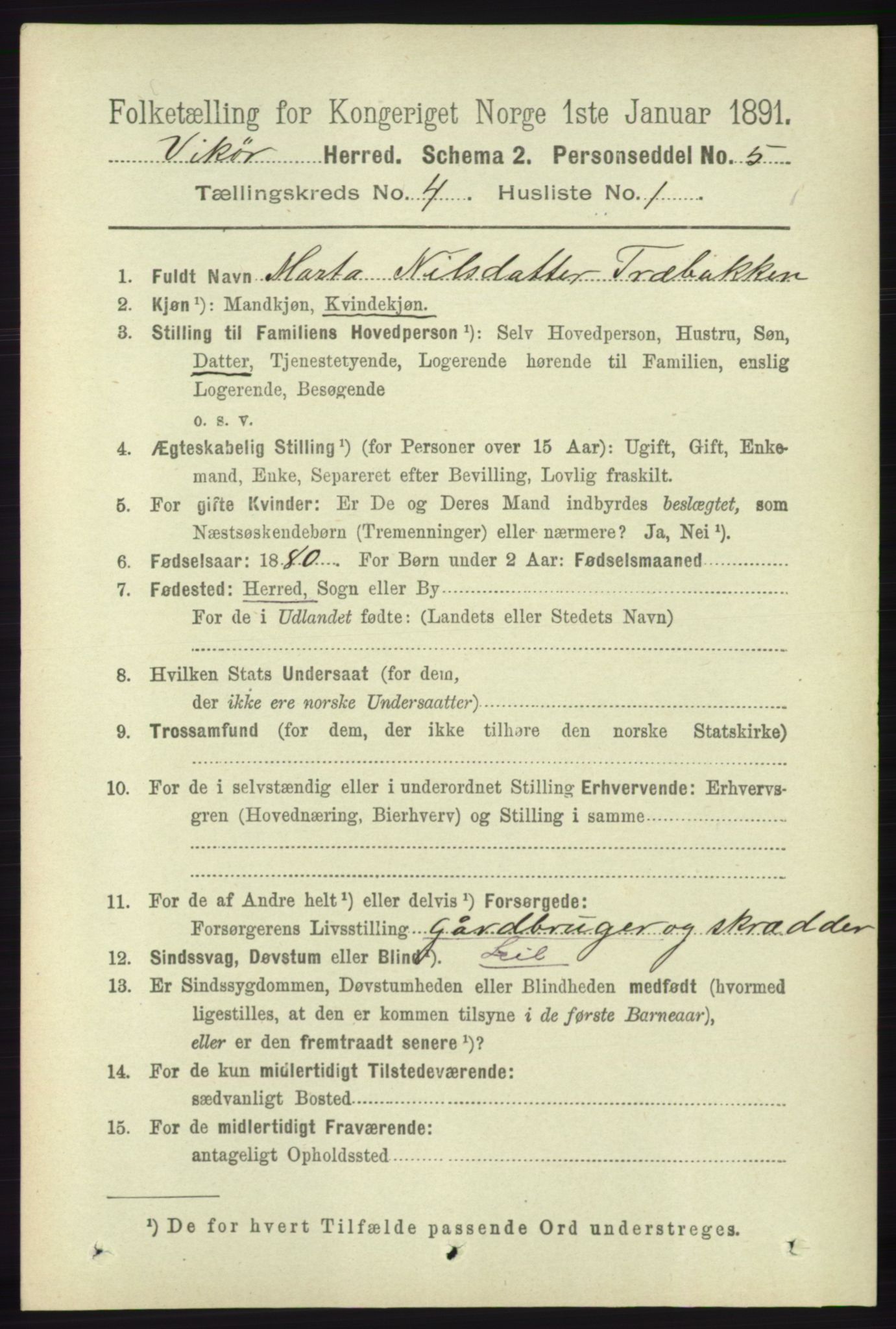 RA, 1891 census for 1238 Vikør, 1891, p. 1089