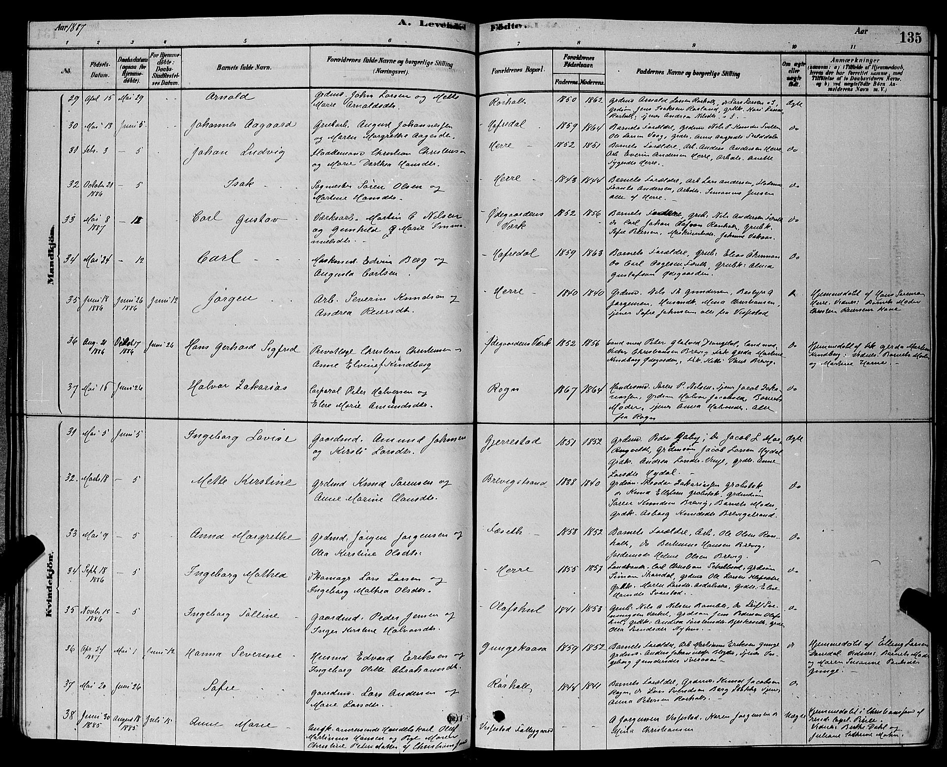 Bamble kirkebøker, AV/SAKO-A-253/G/Ga/L0008: Parish register (copy) no. I 8, 1878-1888, p. 135