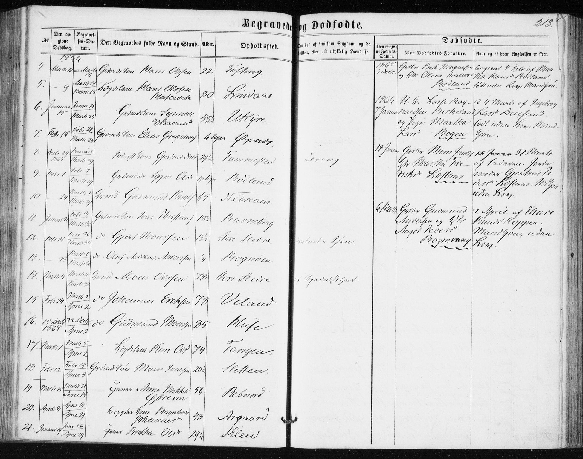 Lindås Sokneprestembete, AV/SAB-A-76701/H/Haa/Haaa/L0016: Parish register (official) no. A 16, 1863-1875, p. 213