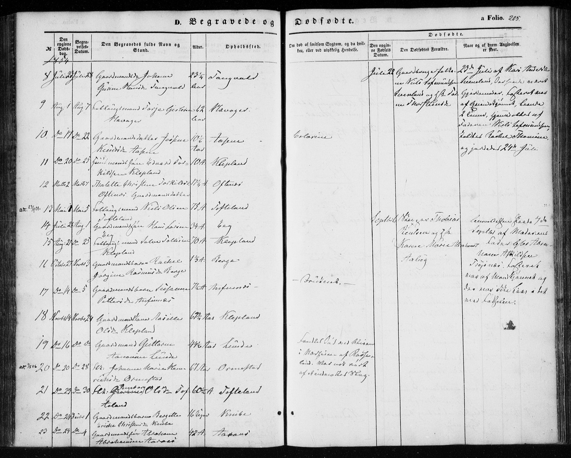 Søgne sokneprestkontor, SAK/1111-0037/F/Fa/Fab/L0010: Parish register (official) no. A 10, 1853-1869, p. 205