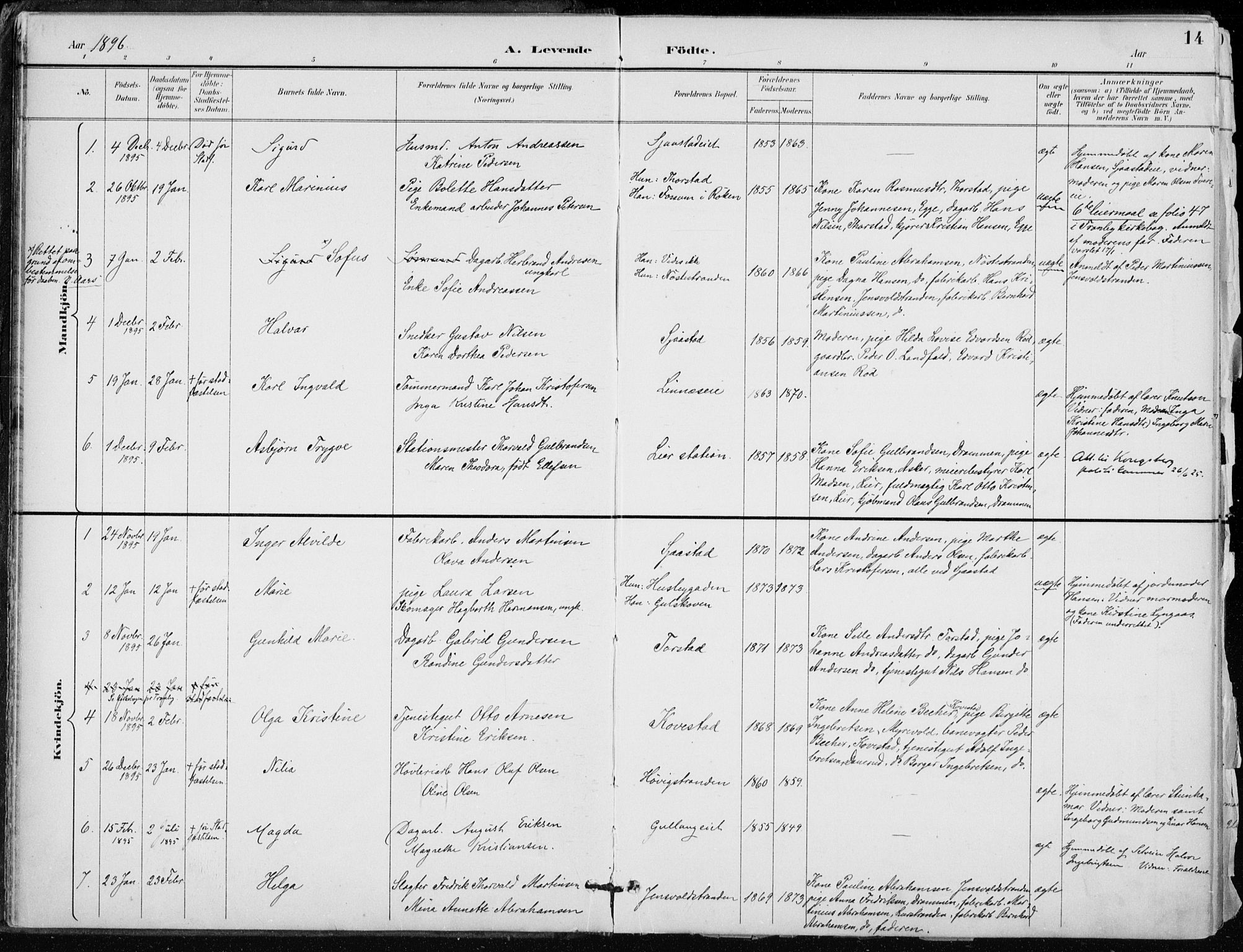 Lier kirkebøker, AV/SAKO-A-230/F/Fa/L0016: Parish register (official) no. I 16, 1895-1900, p. 14