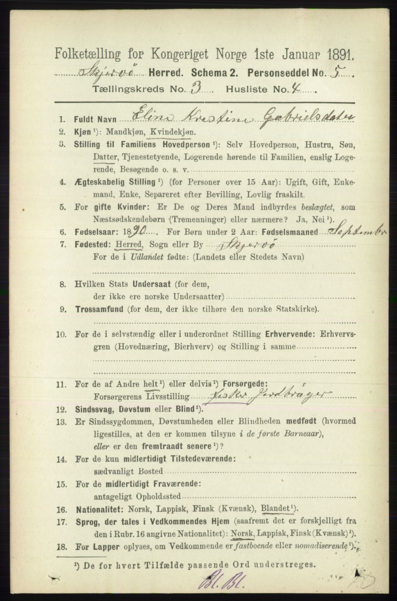 RA, 1891 census for 1941 Skjervøy, 1891, p. 1869