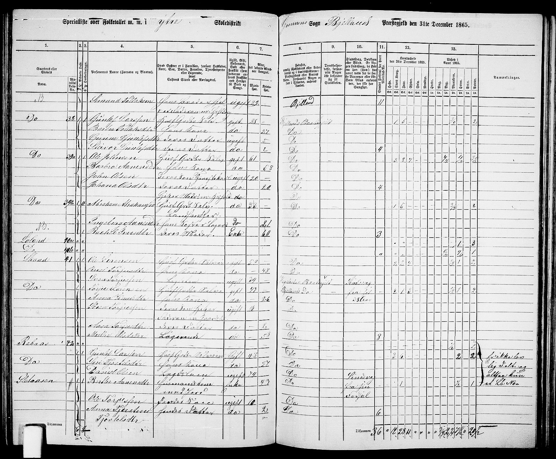 RA, 1865 census for Bjelland, 1865, p. 56