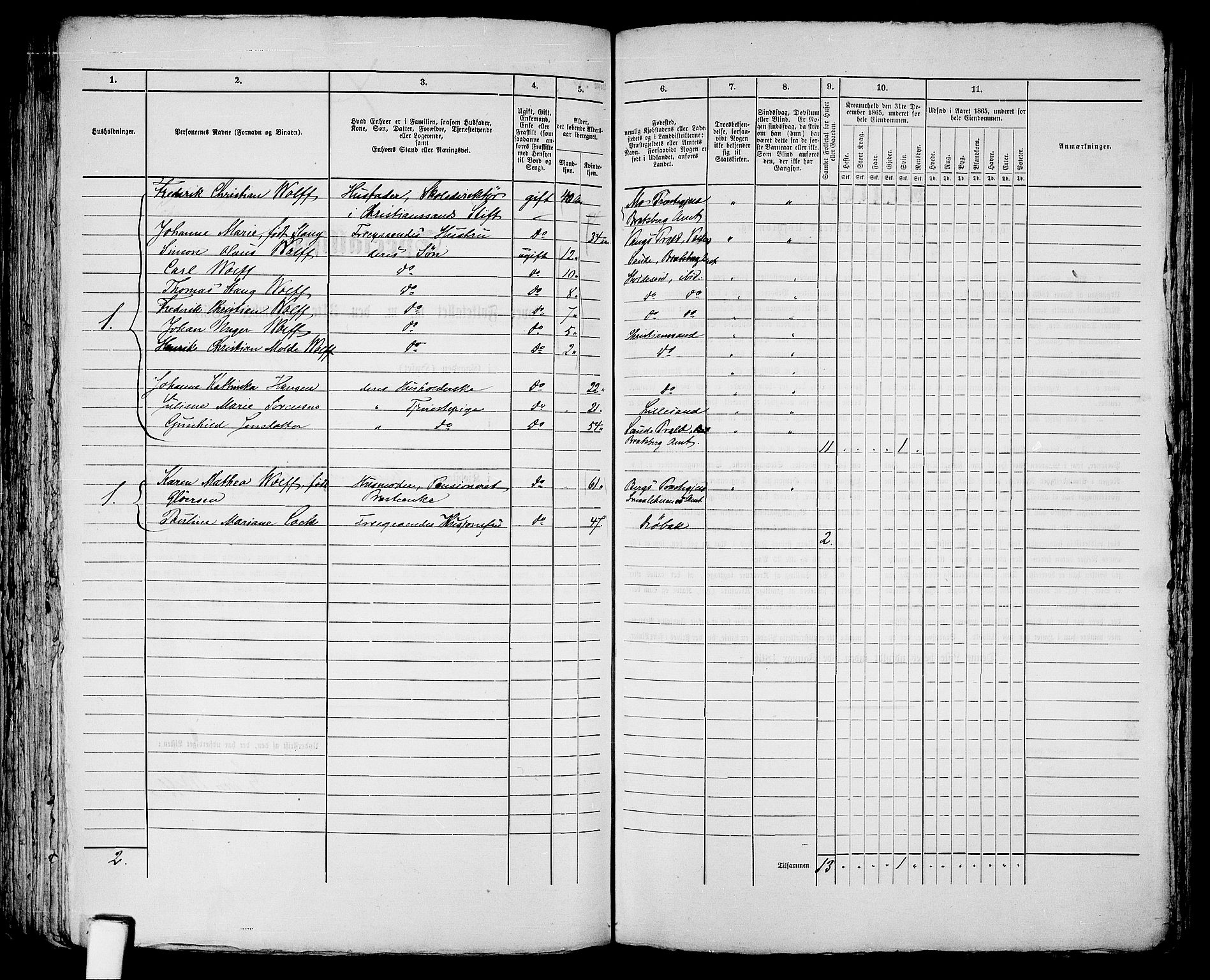 RA, 1865 census for Kristiansand, 1865, p. 1802