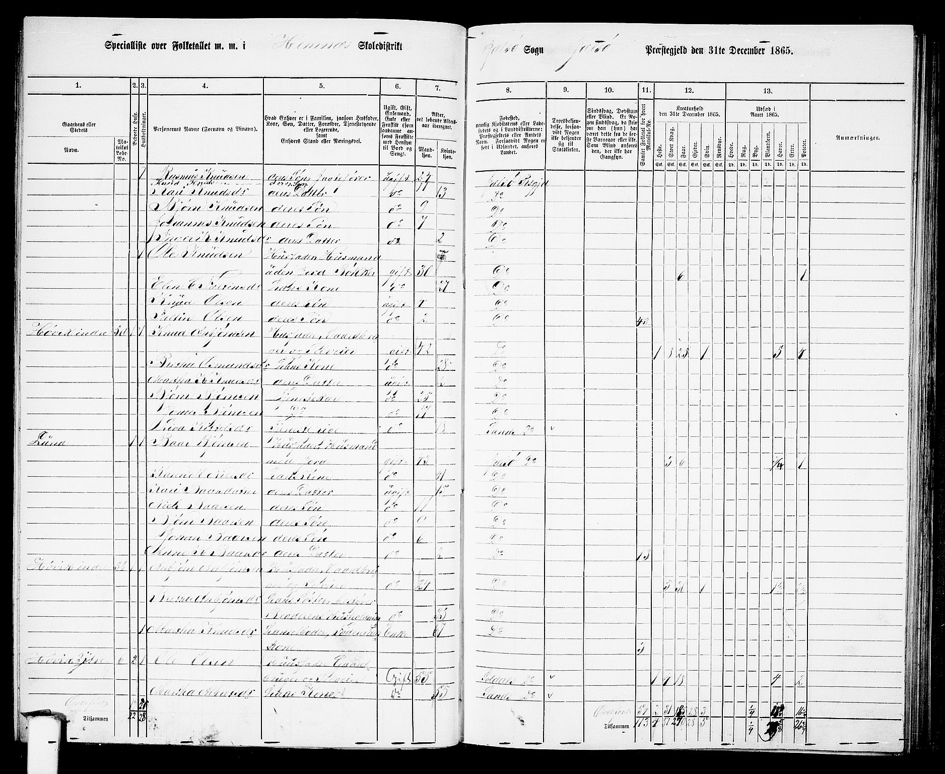 RA, 1865 census for Jelsa, 1865, p. 47