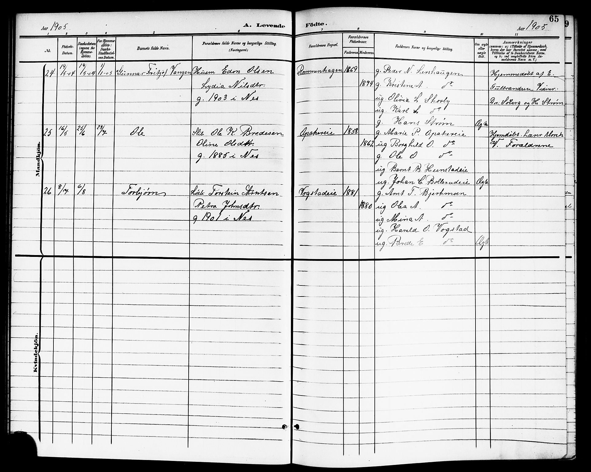 Nes prestekontor Kirkebøker, AV/SAO-A-10410/G/Ga/L0002: Parish register (copy) no. I 2, 1901-1912, p. 65