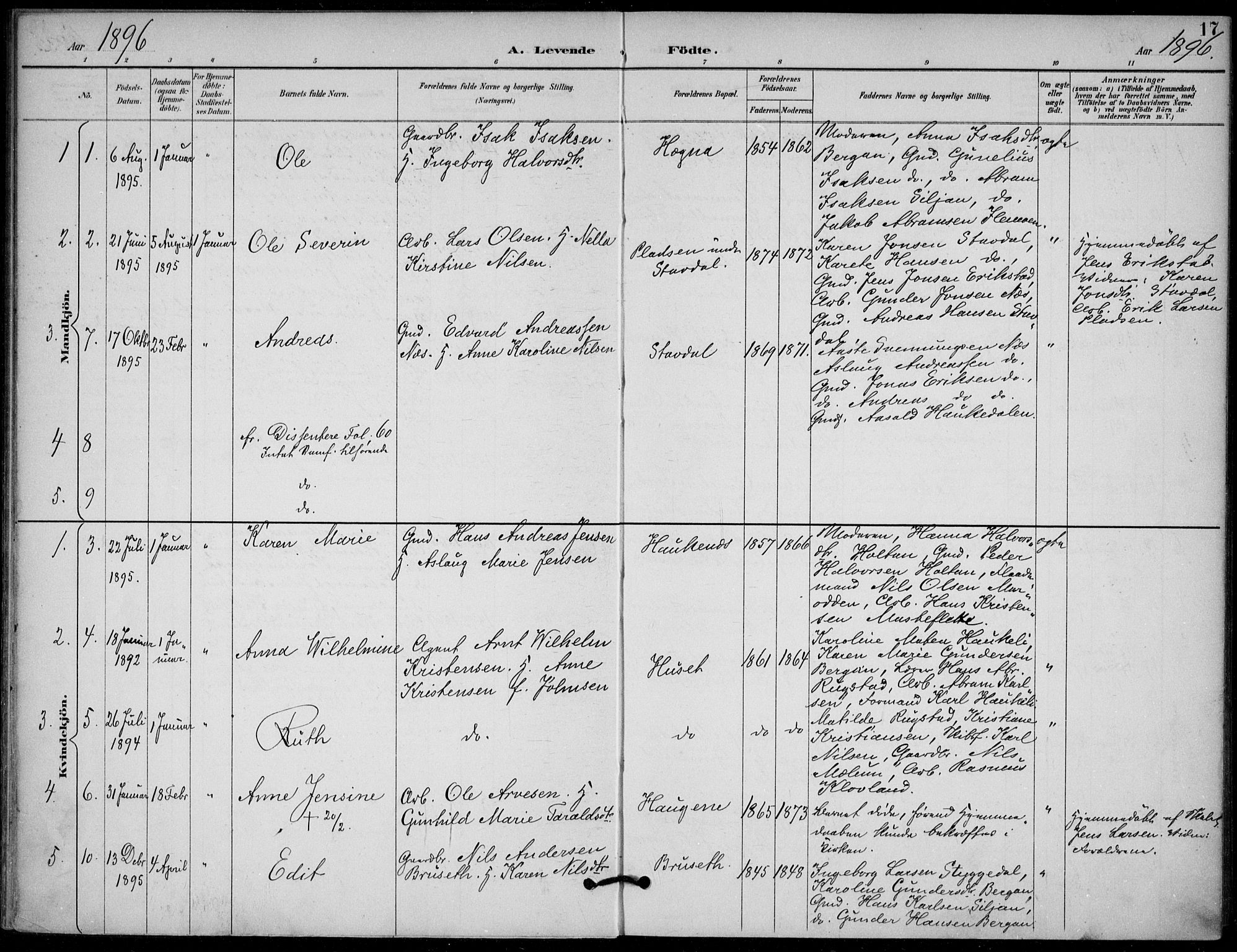 Solum kirkebøker, SAKO/A-306/F/Fb/L0002: Parish register (official) no. II 2, 1893-1901, p. 17