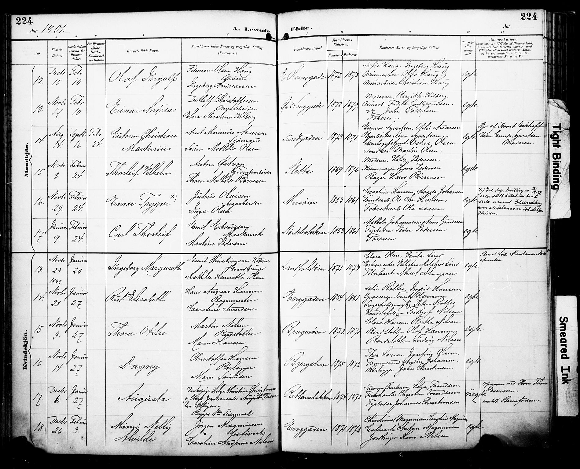 Bragernes kirkebøker, SAKO/A-6/F/Fb/L0008: Parish register (official) no. II 8, 1894-1902, p. 224