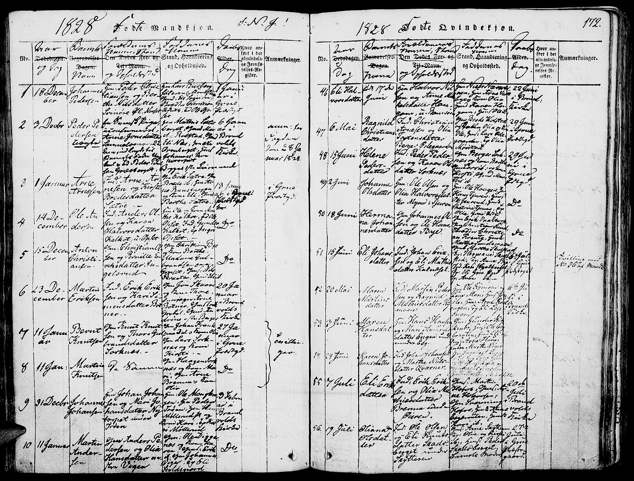 Grue prestekontor, SAH/PREST-036/H/Ha/Haa/L0006: Parish register (official) no. 6, 1814-1830, p. 172