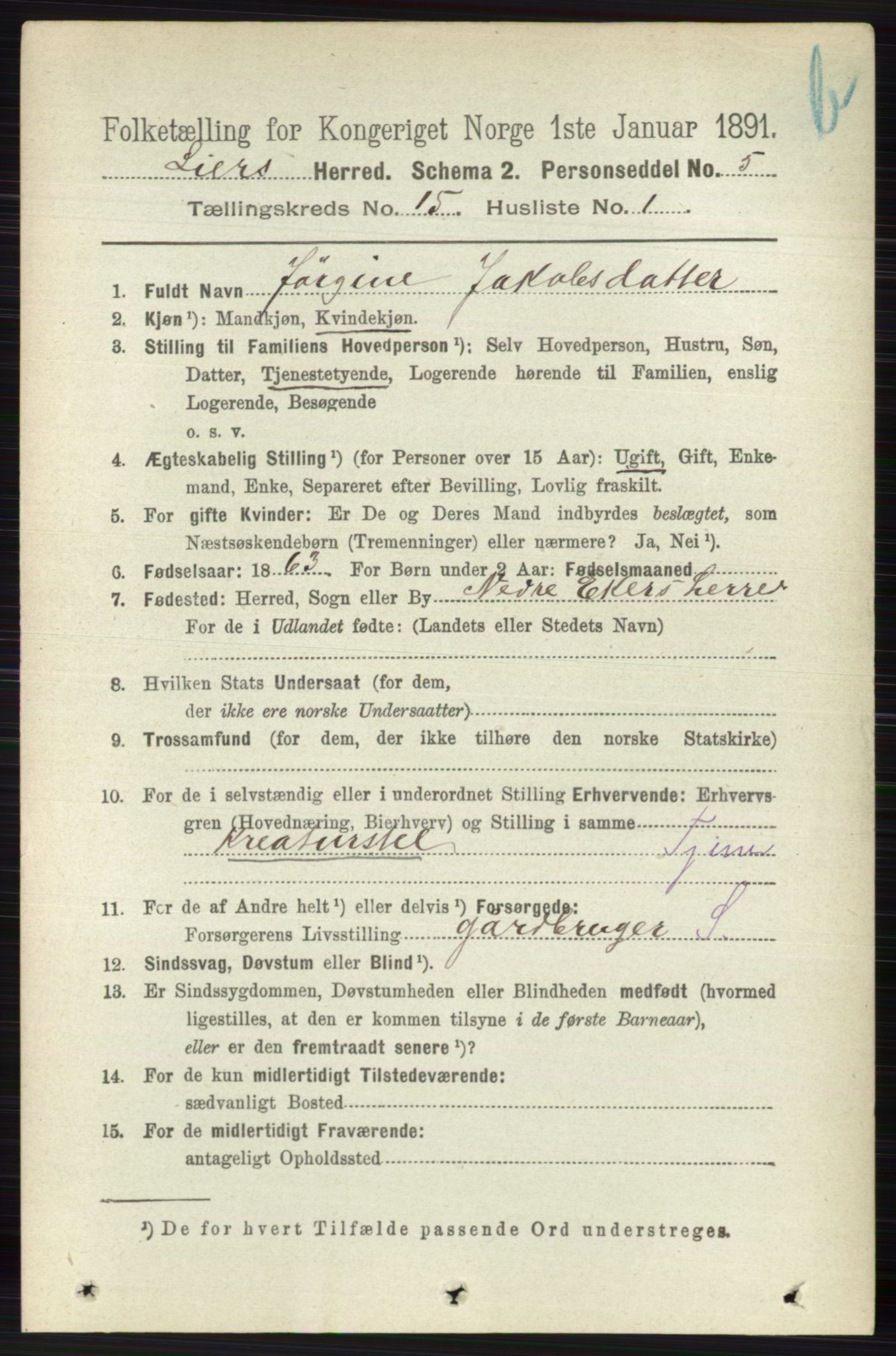 RA, 1891 census for 0626 Lier, 1891, p. 8714