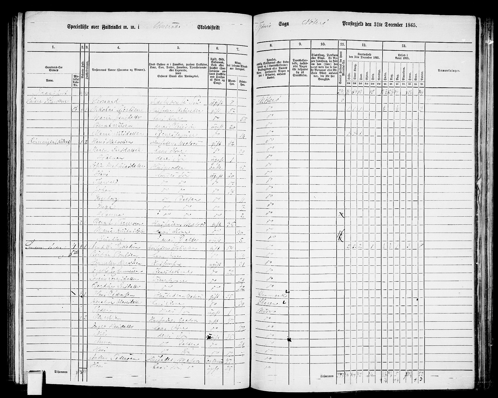 RA, 1865 census for Nøtterøy, 1865, p. 213