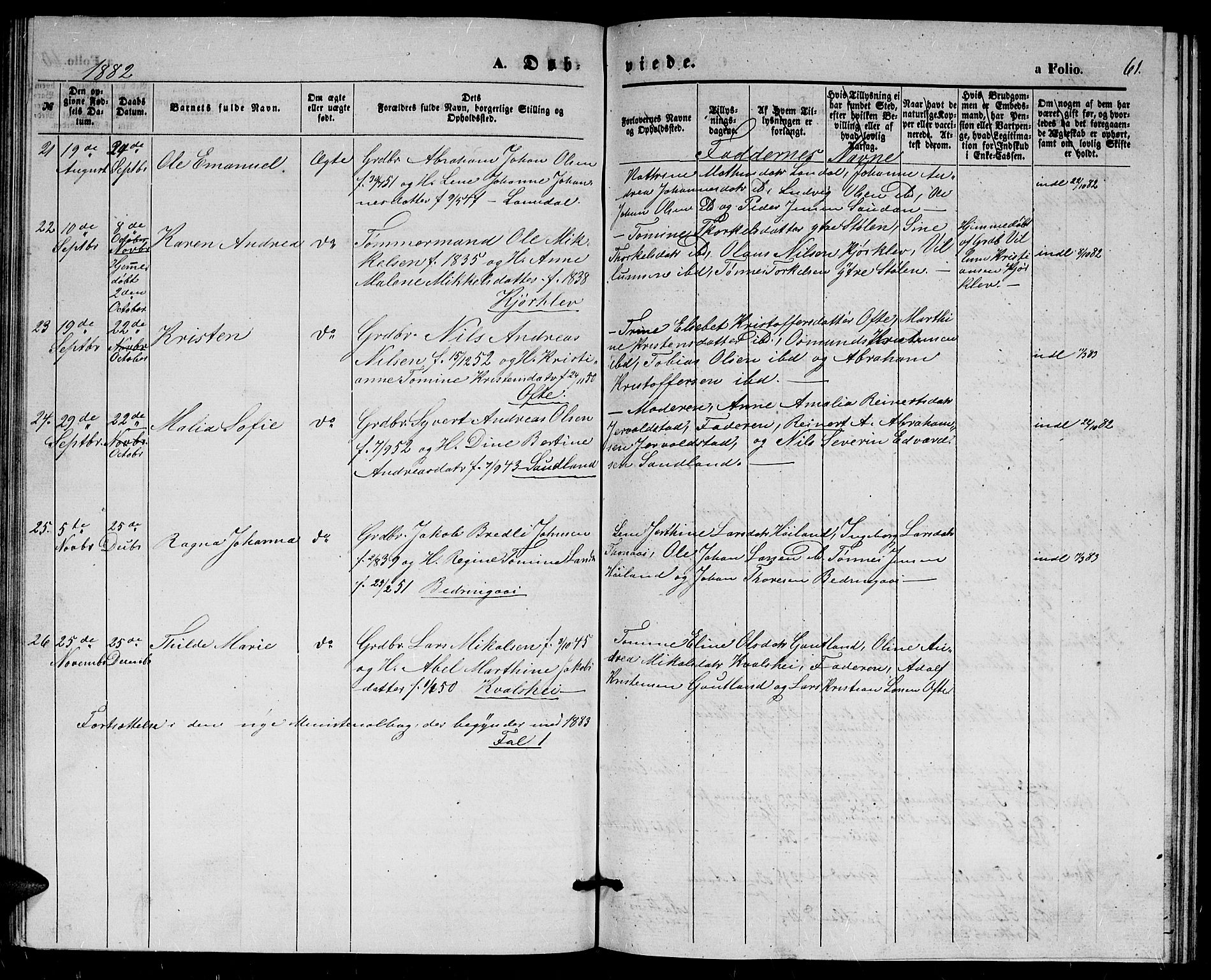 Herad sokneprestkontor, AV/SAK-1111-0018/F/Fb/Fba/L0003: Parish register (copy) no. B 3, 1863-1883, p. 61