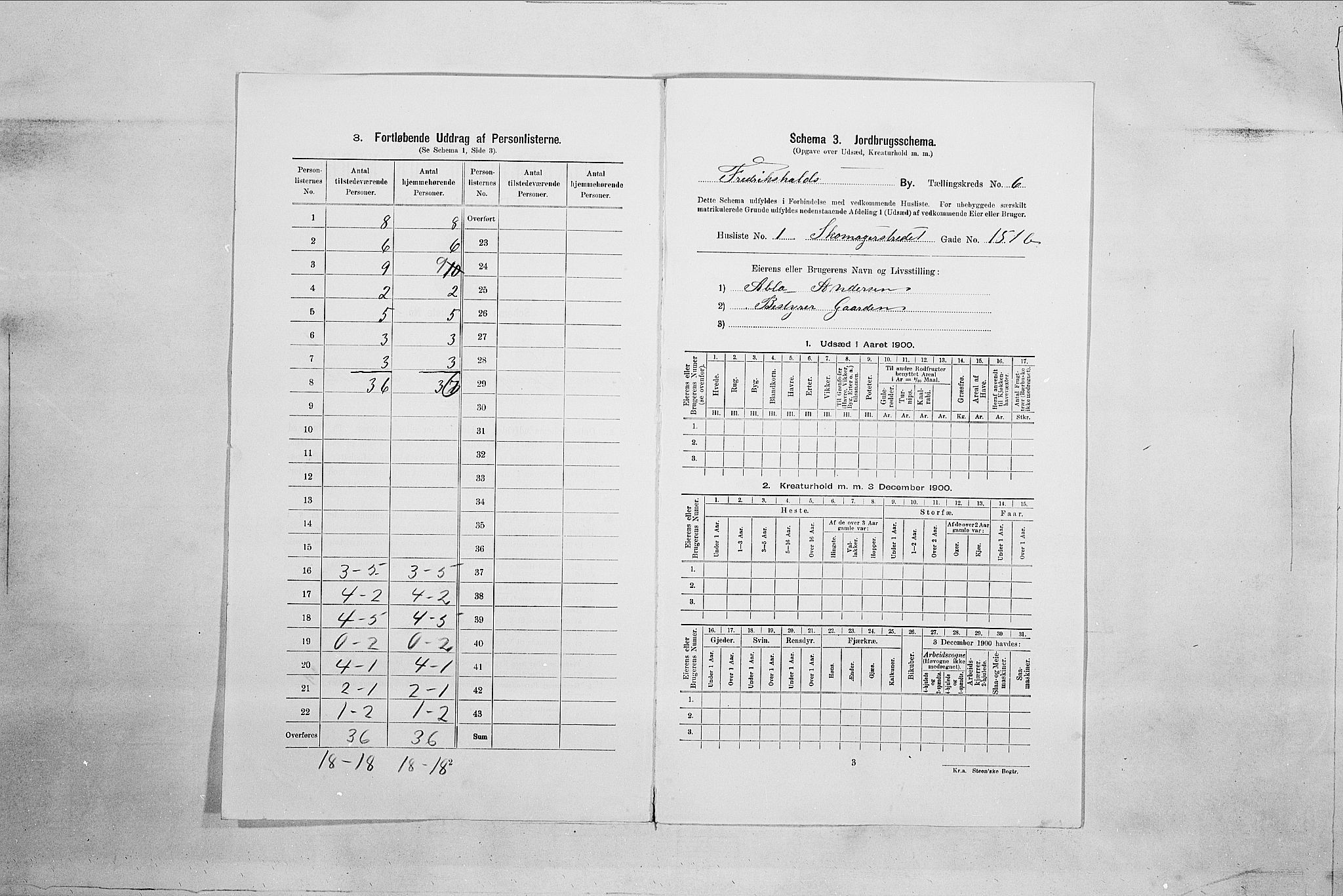 SAO, 1900 census for Fredrikshald, 1900