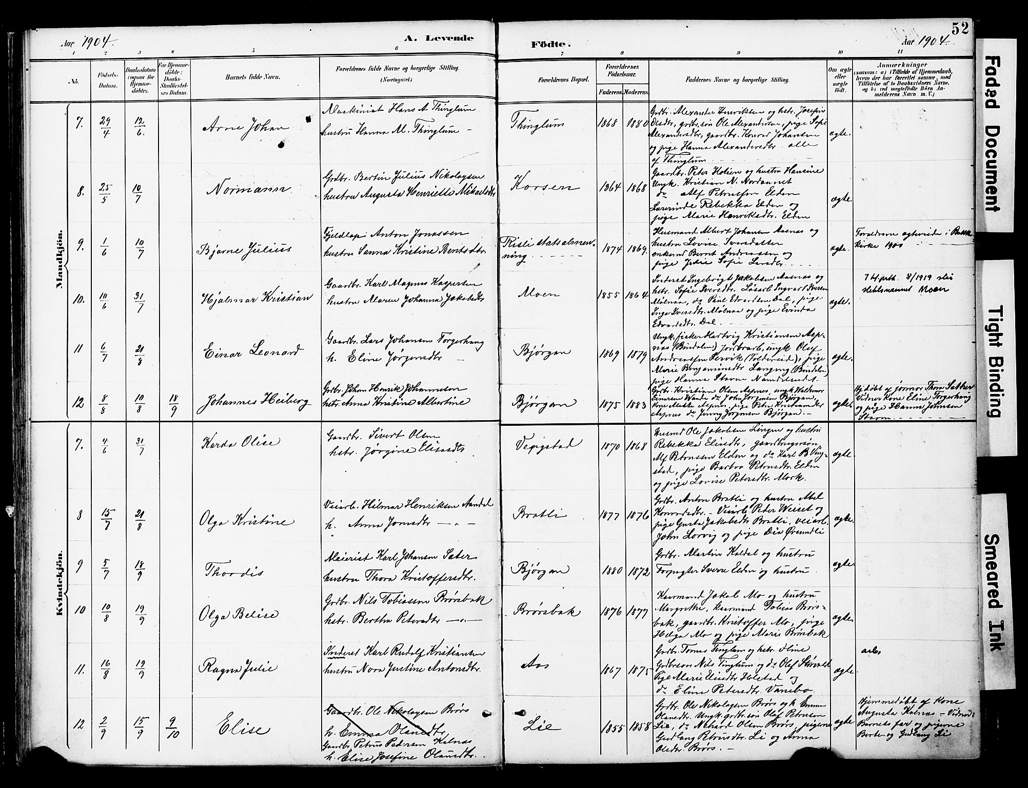 Ministerialprotokoller, klokkerbøker og fødselsregistre - Nord-Trøndelag, AV/SAT-A-1458/742/L0409: Parish register (official) no. 742A02, 1891-1905, p. 52