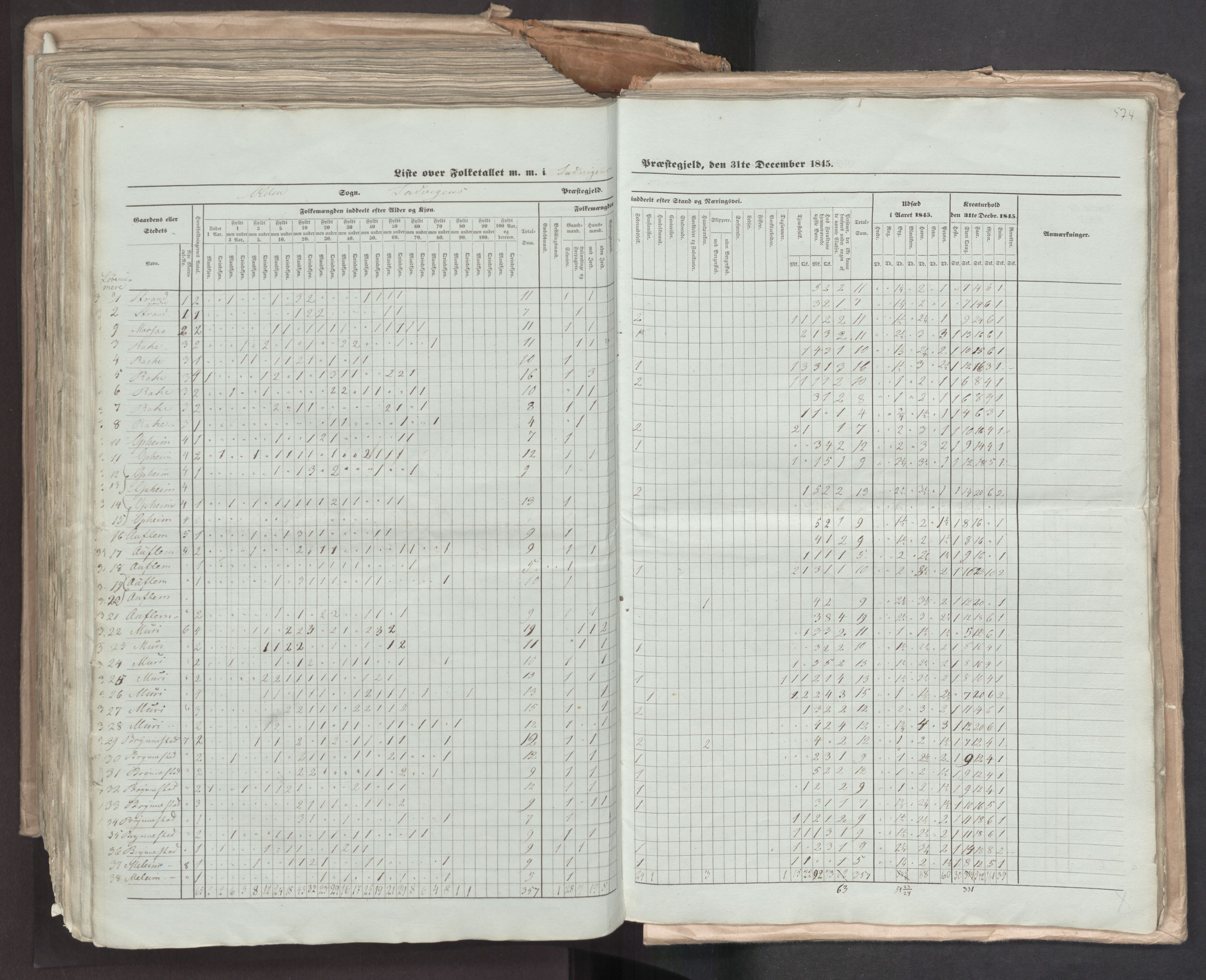 RA, Census 1845, vol. 7: Søndre Bergenhus amt og Nordre Bergenhus amt, 1845, p. 574