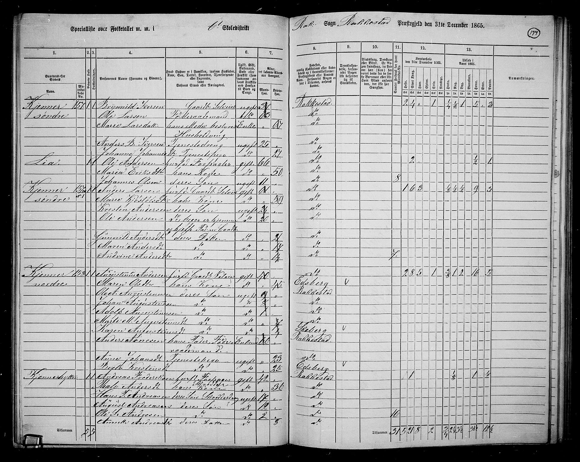 RA, 1865 census for Rakkestad, 1865, p. 169