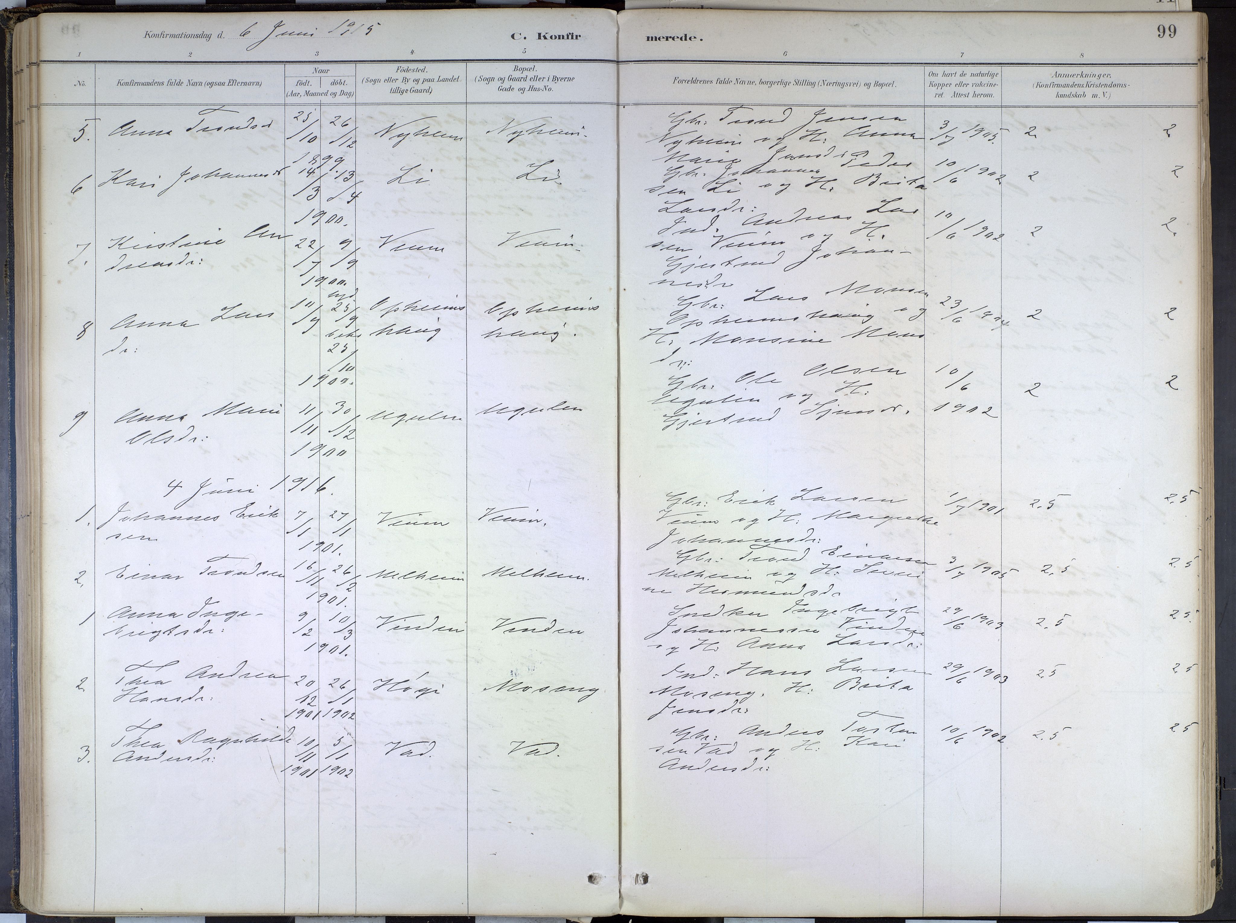 Hafslo sokneprestembete, SAB/A-80301/H/Haa/Haad/L0001: Parish register (official) no. D 1, 1886-1934, p. 99