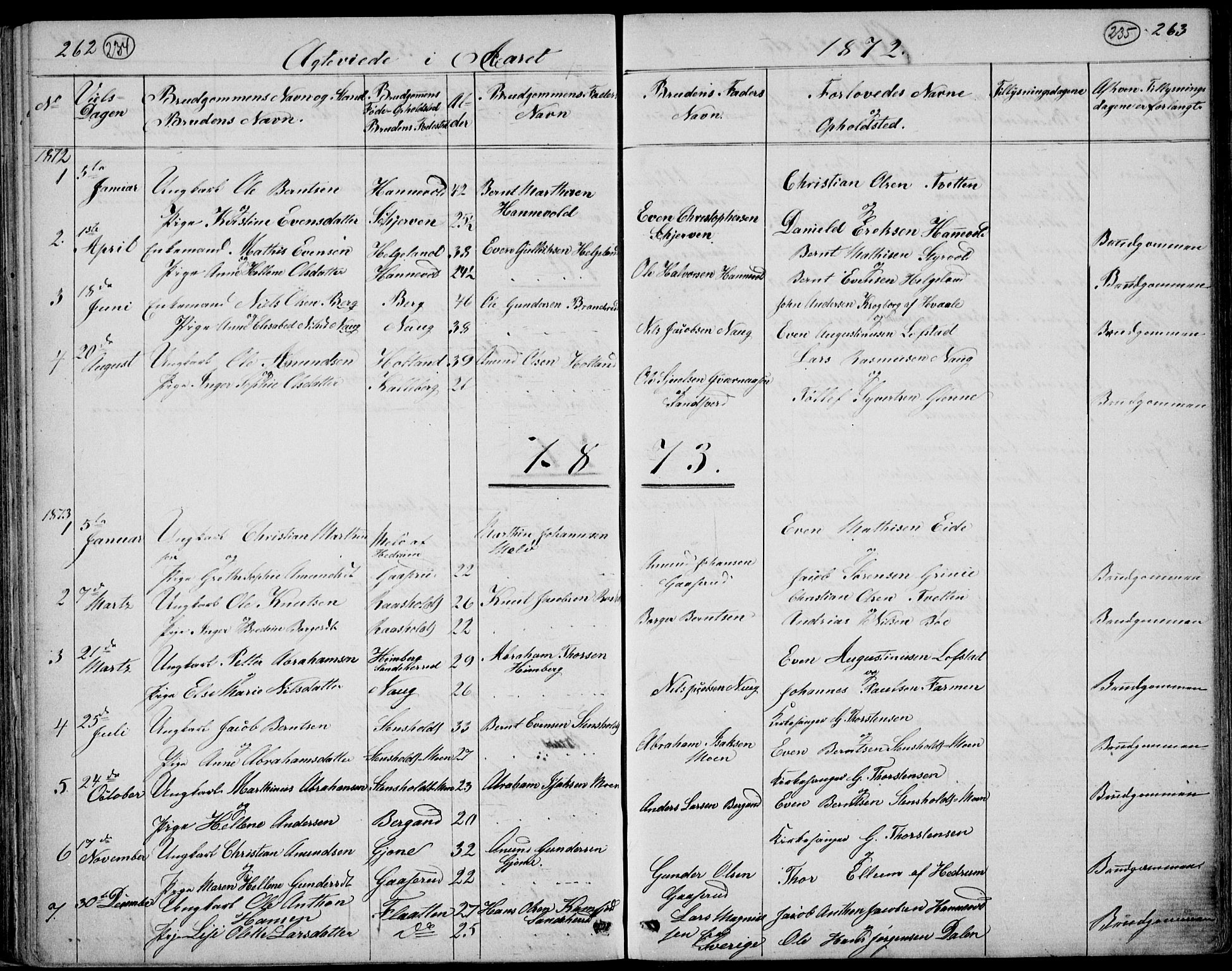 Lardal kirkebøker, AV/SAKO-A-350/G/Gc/L0001: Parish register (copy) no. III 1, 1859-1893, p. 262-263