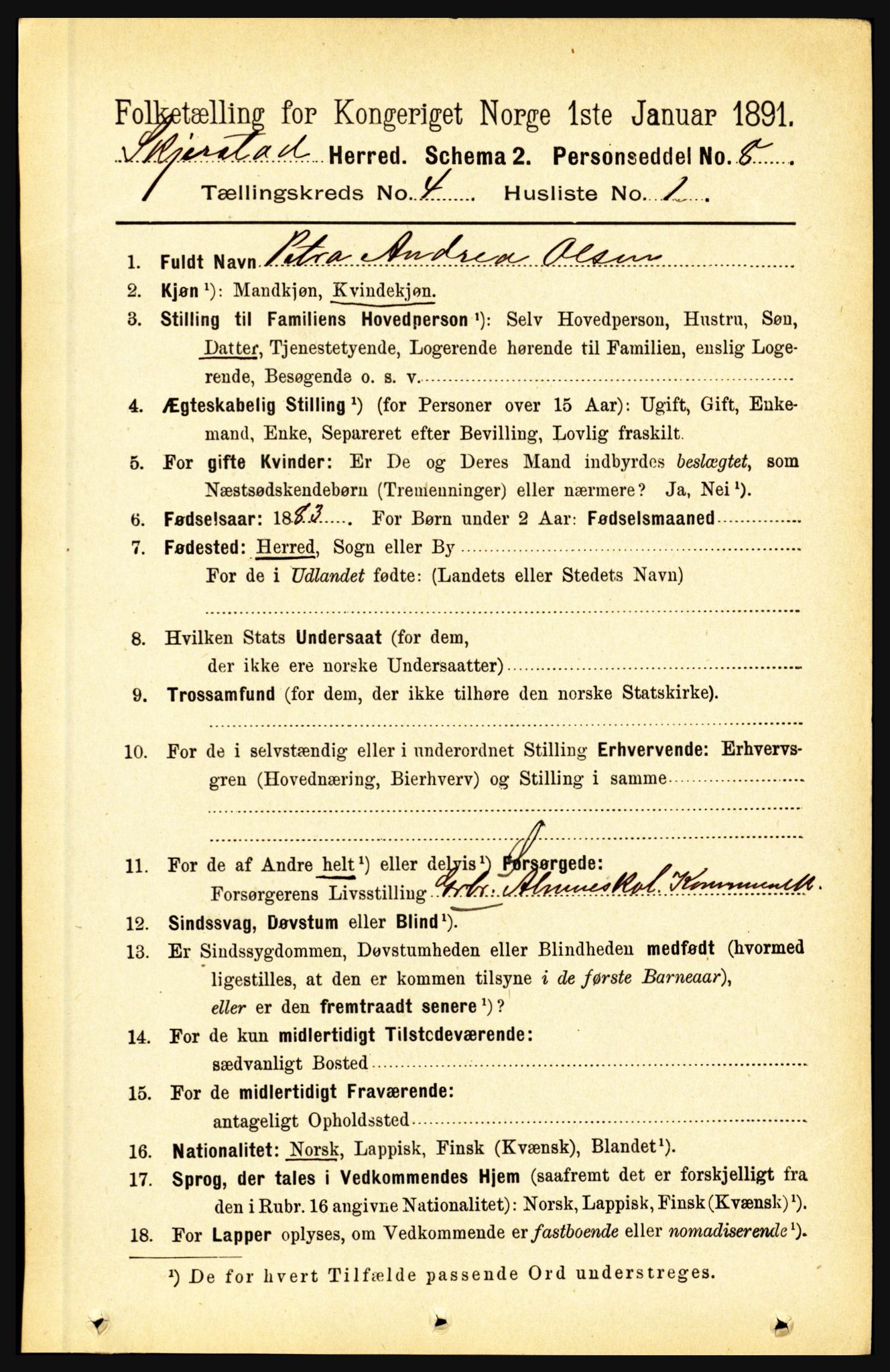 RA, 1891 census for 1842 Skjerstad, 1891, p. 1108