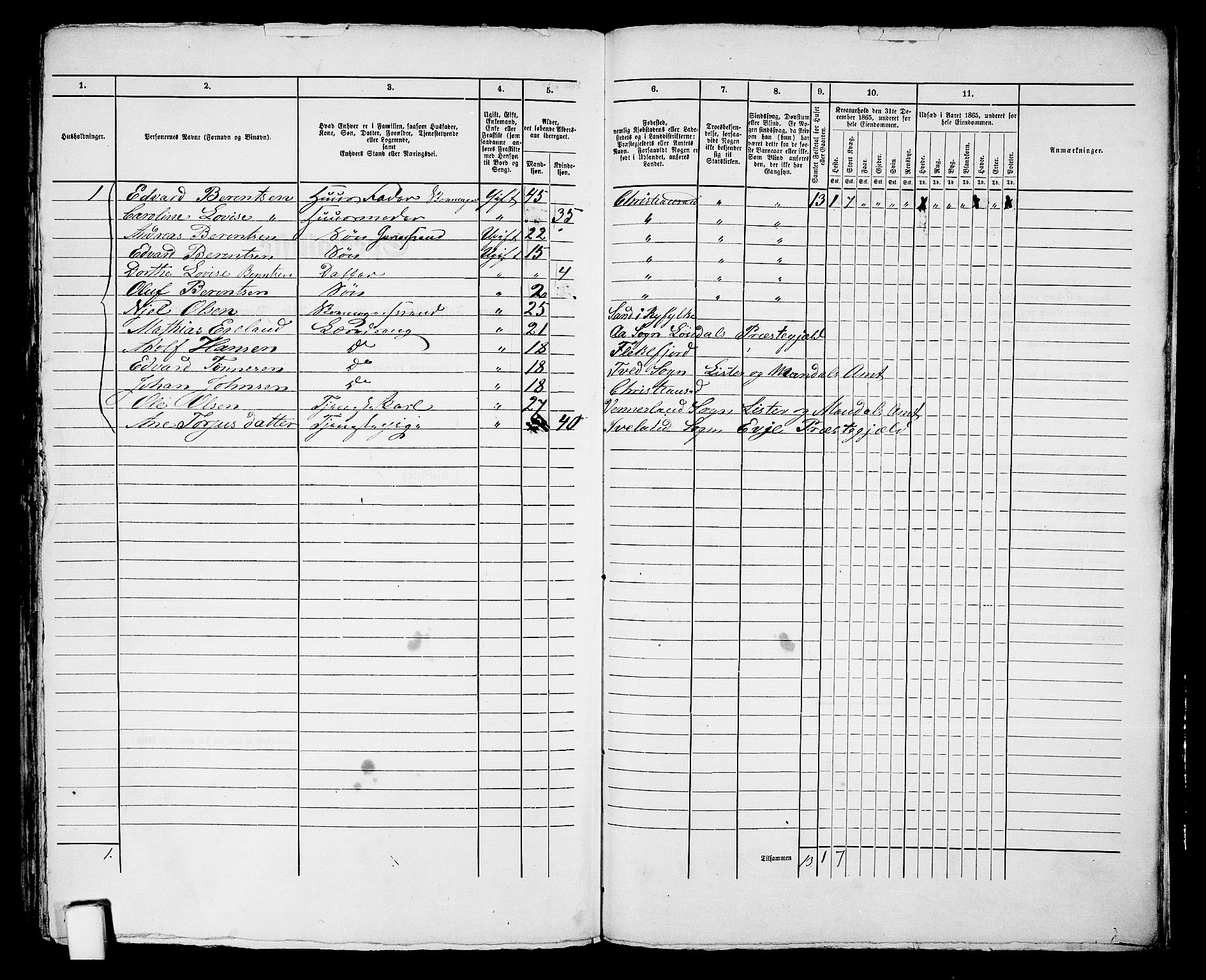 RA, 1865 census for Kristiansand, 1865, p. 1524