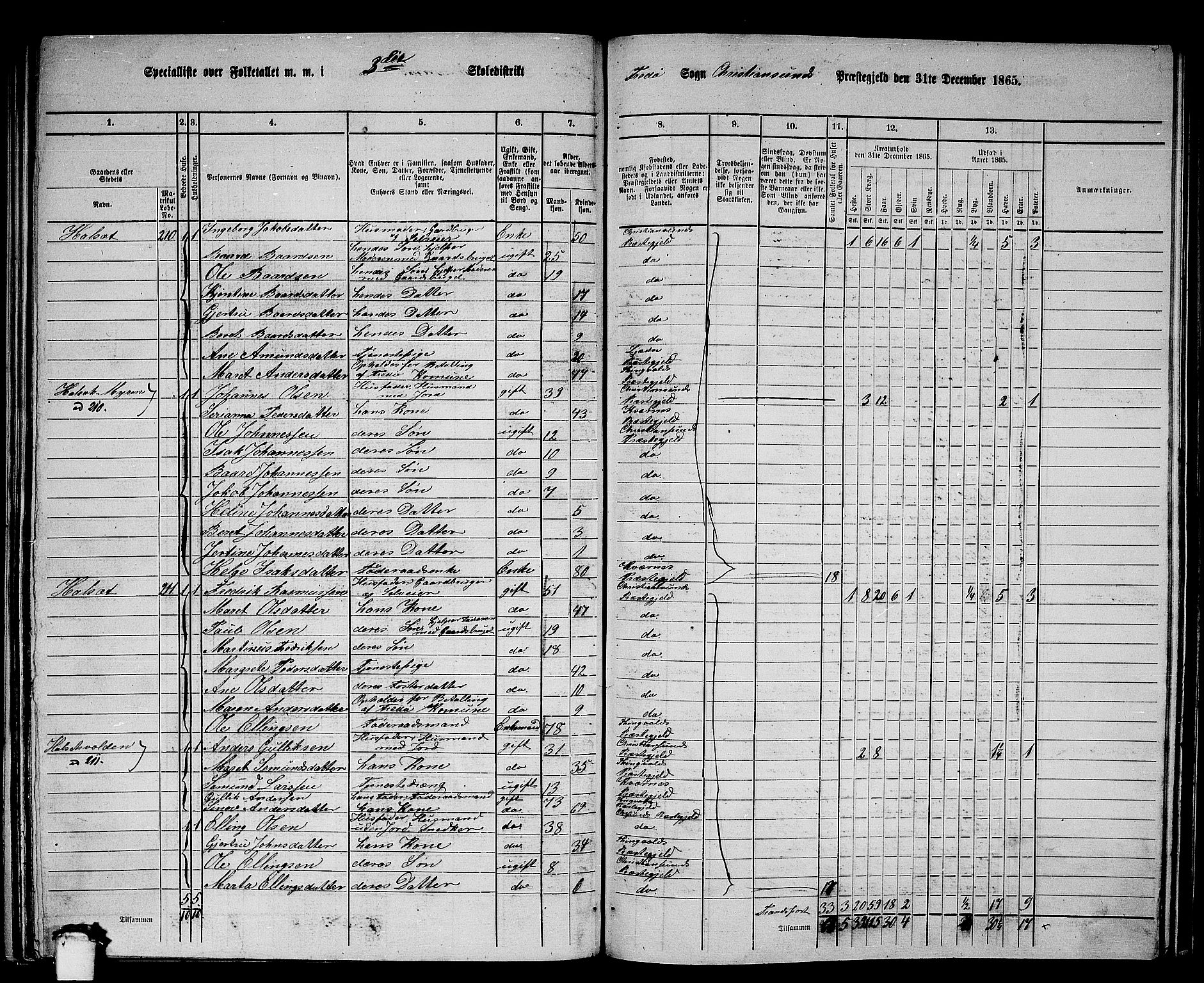 RA, 1865 census for Kristiansund/Frei og Grip, 1865, p. 39