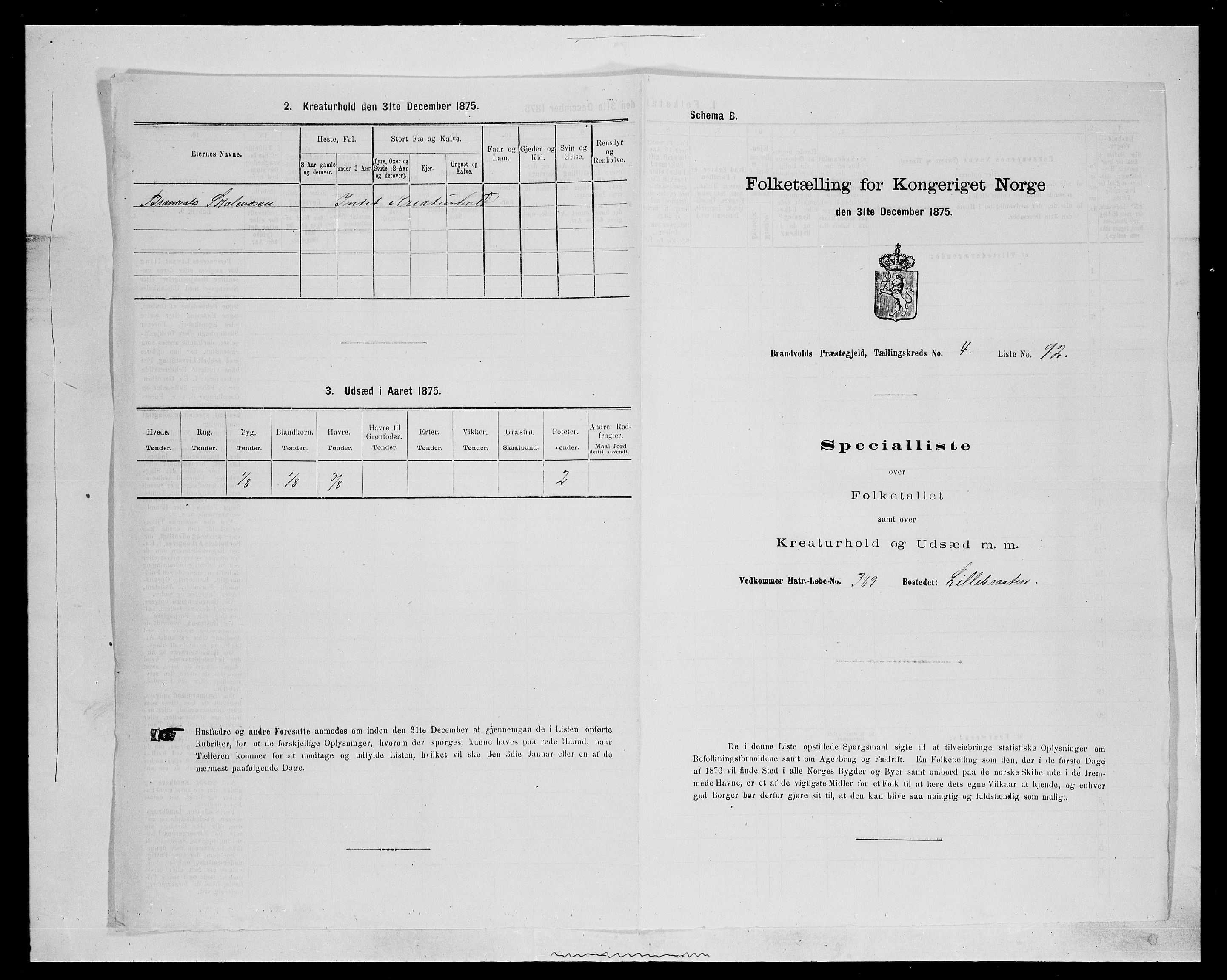 SAH, 1875 census for 0422P Brandval, 1875, p. 718